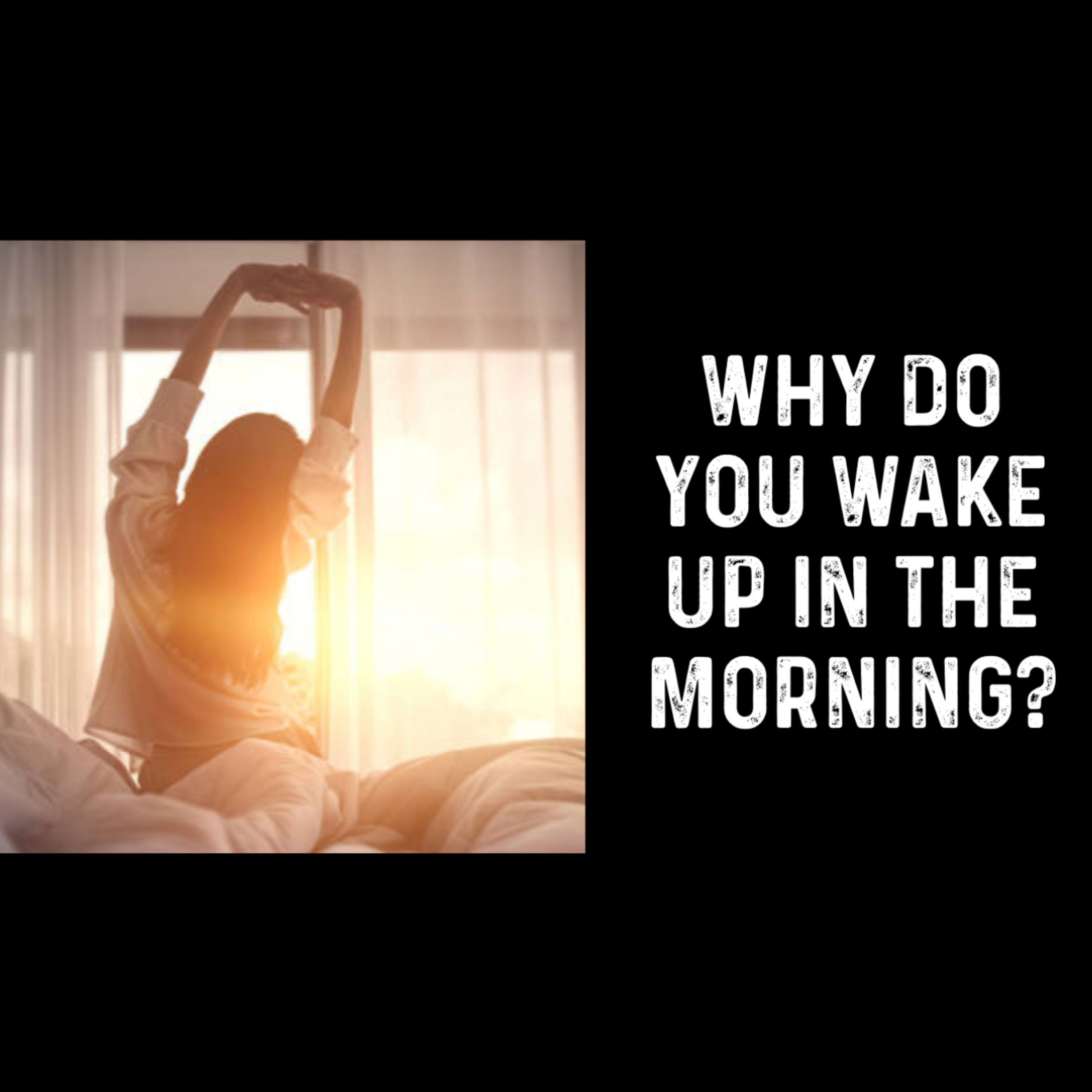 S2E33 - Why do you wake up in the morning? episode artwork