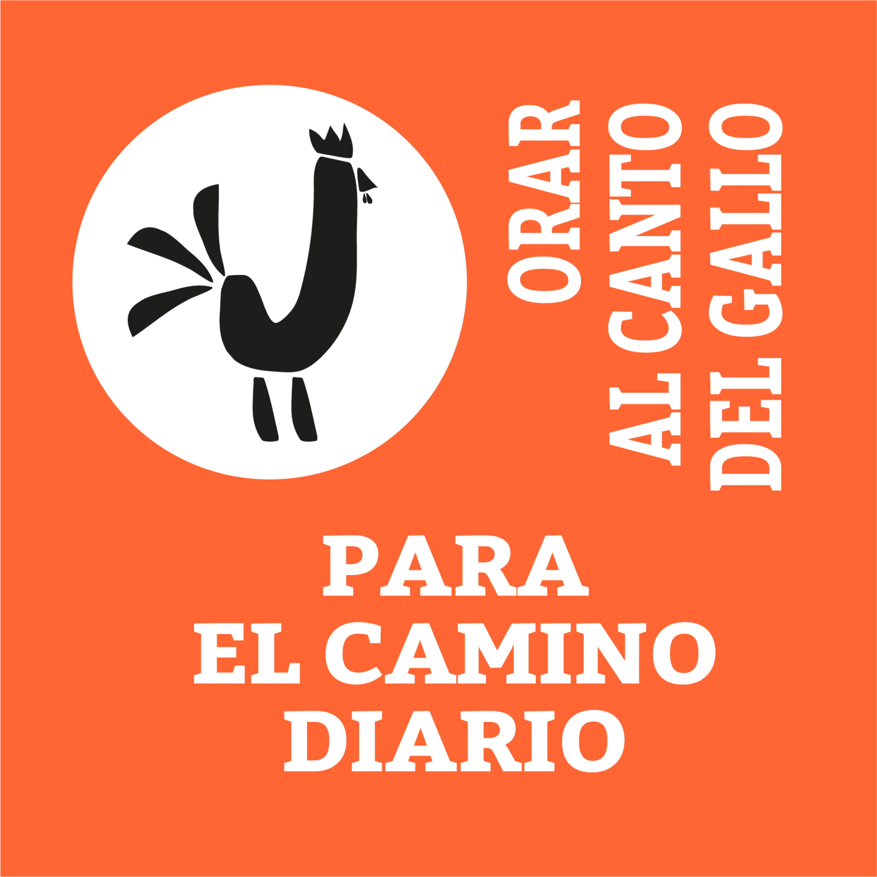 Orar al canto del gallo