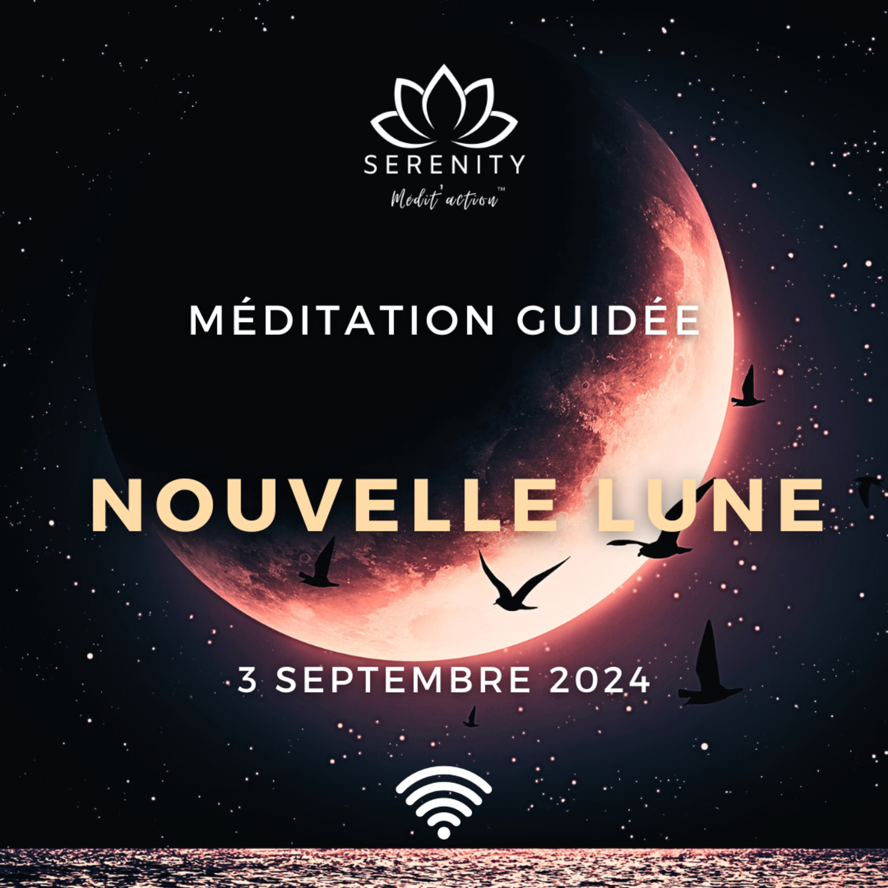 20 min Méditation guidée 🌚 Nouvelle LUNE en VIERGE ♍ Mardi 3 Septembre 2024 episode artwork