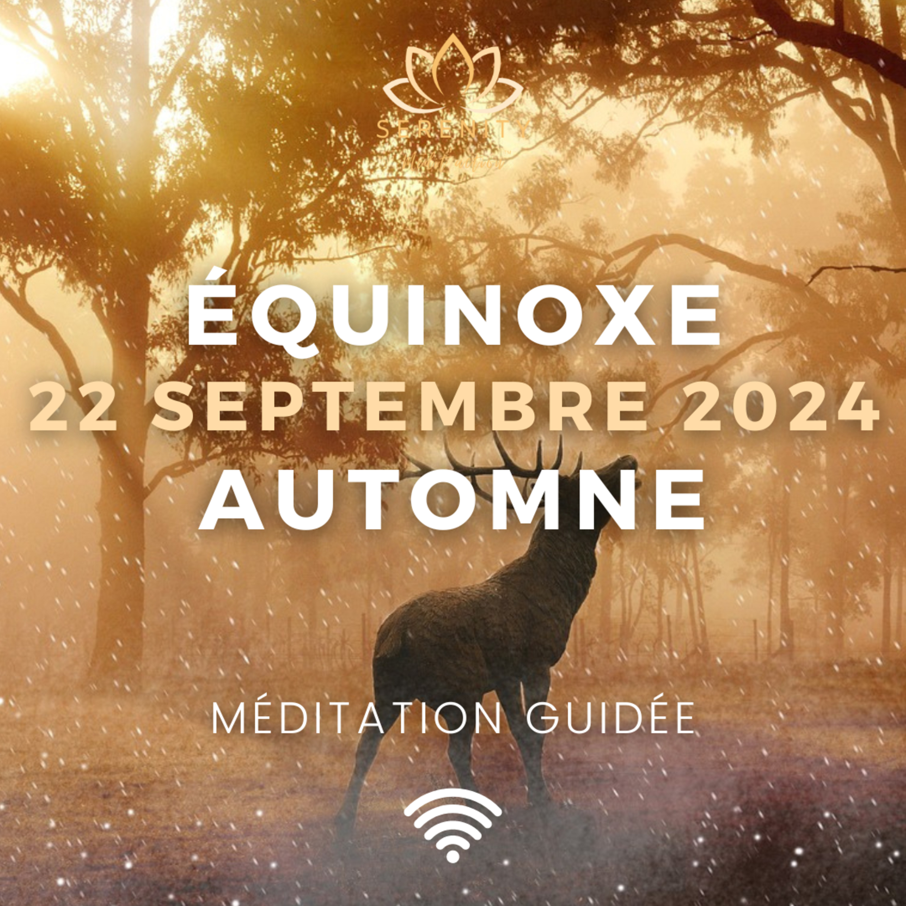 20 MIN Médition 🍂 ÉQUINOXE d'Automne du 22 Septembre 2024 - Mabon episode artwork