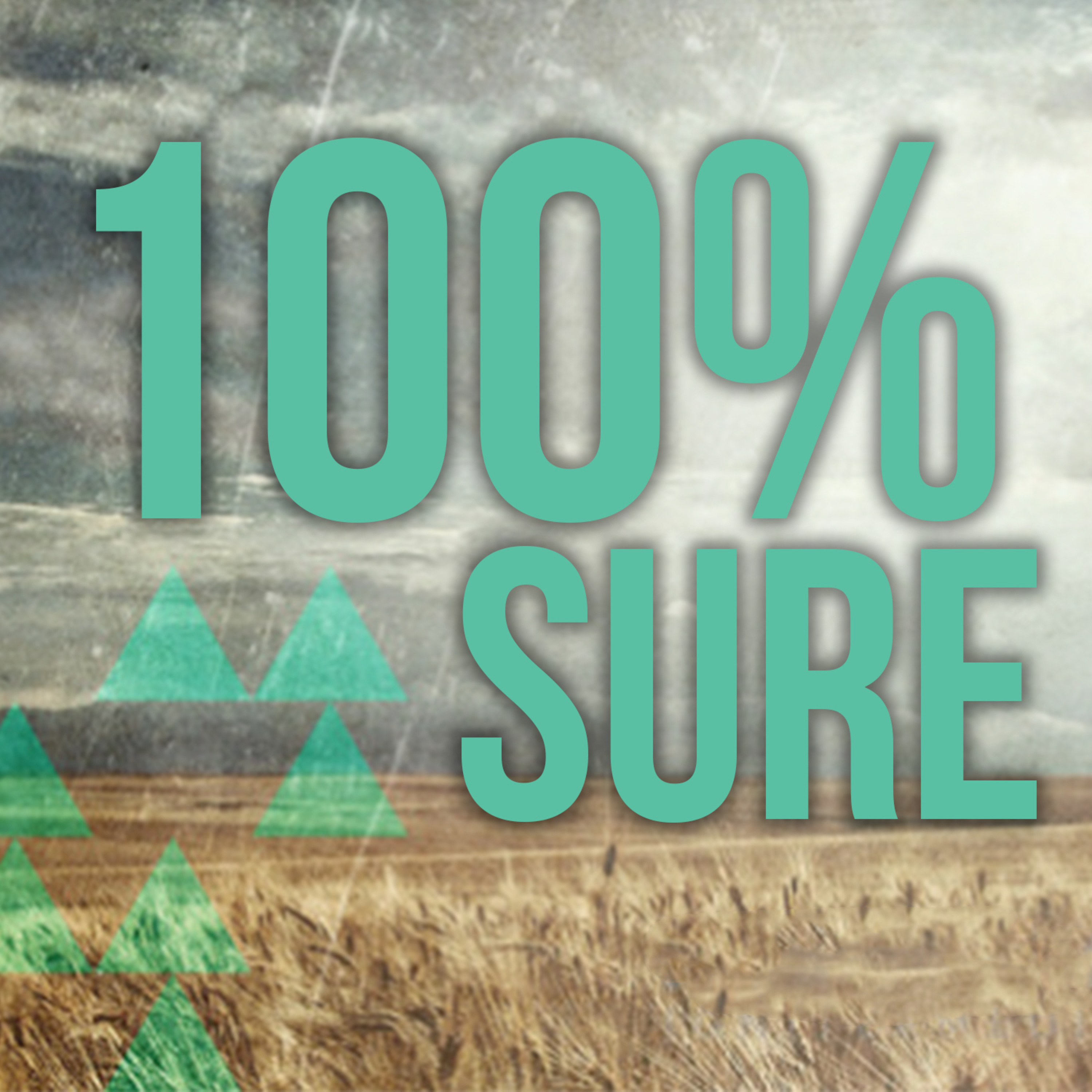 100% Sure episode artwork