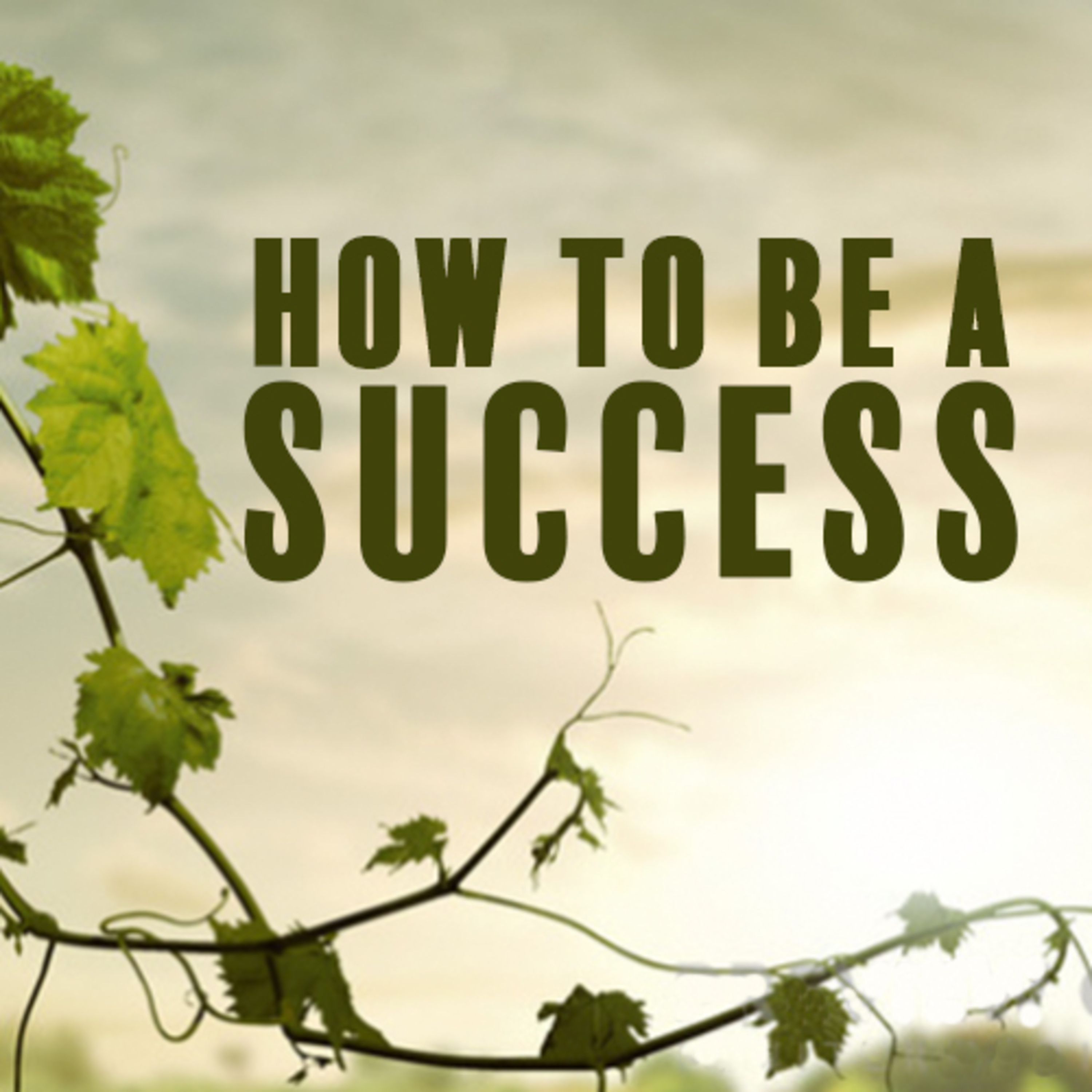 How To Be A Success episode artwork