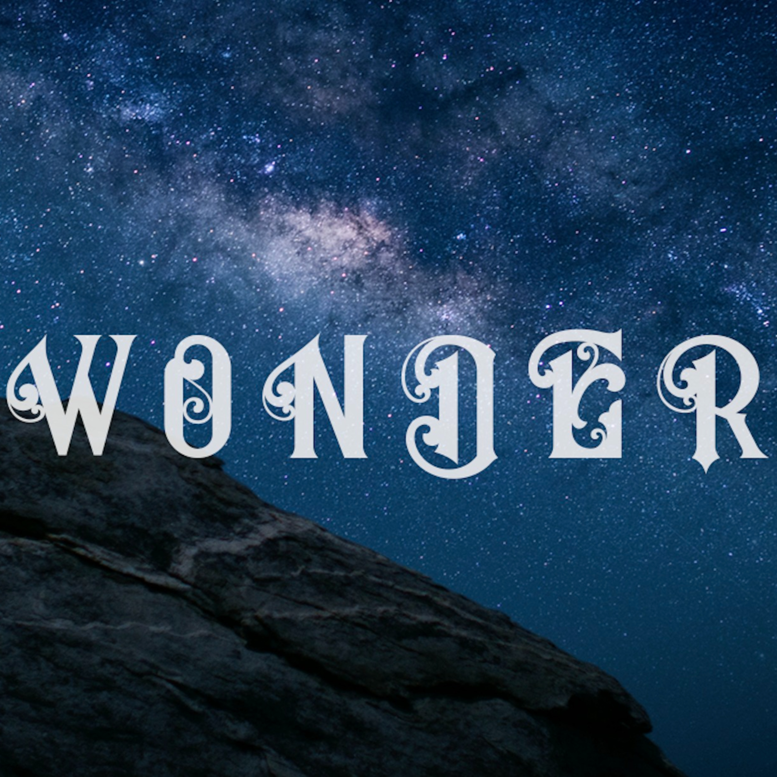 Wonder: Turning Toward Wonder episode artwork