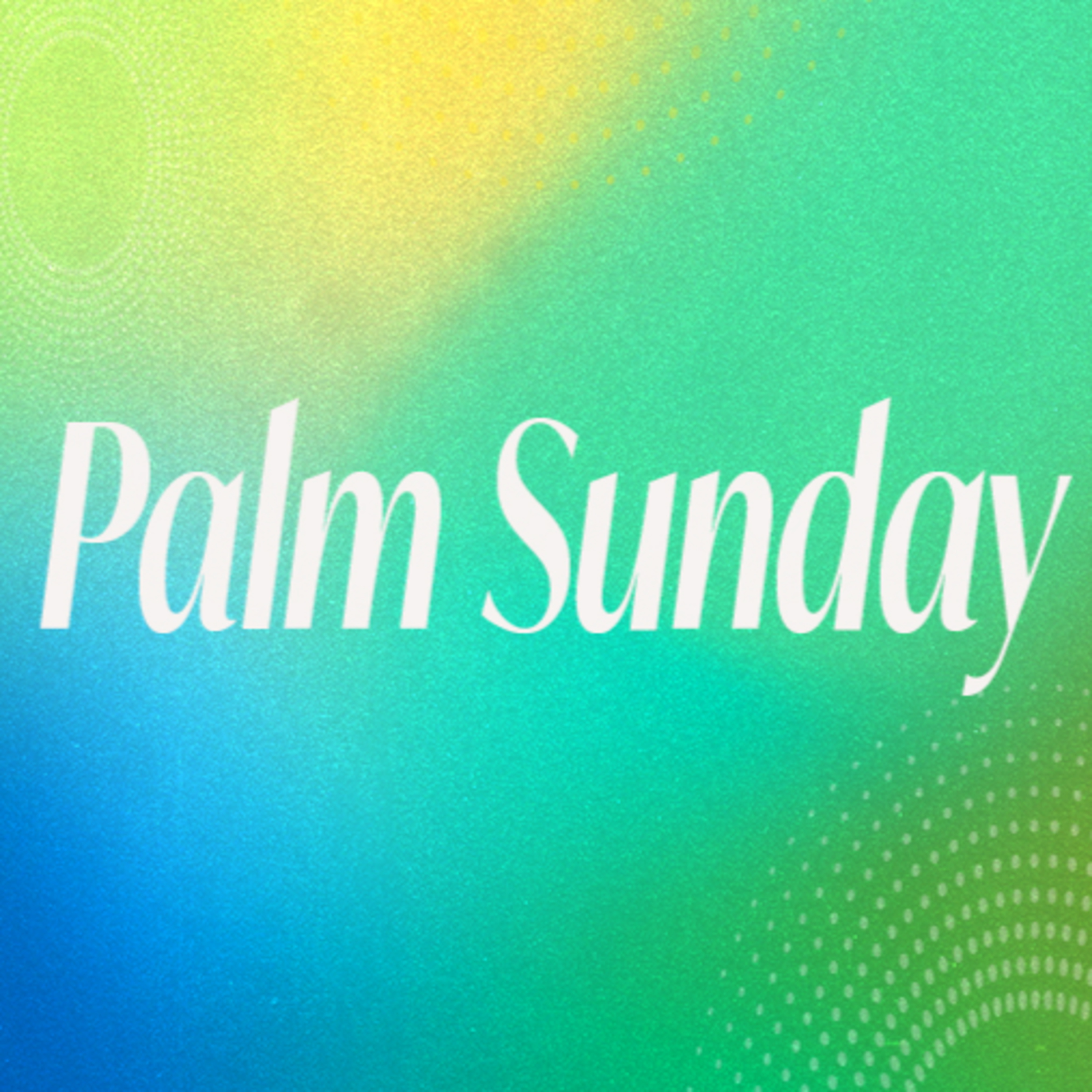 Palm Sunday - 03/24/2024 episode artwork
