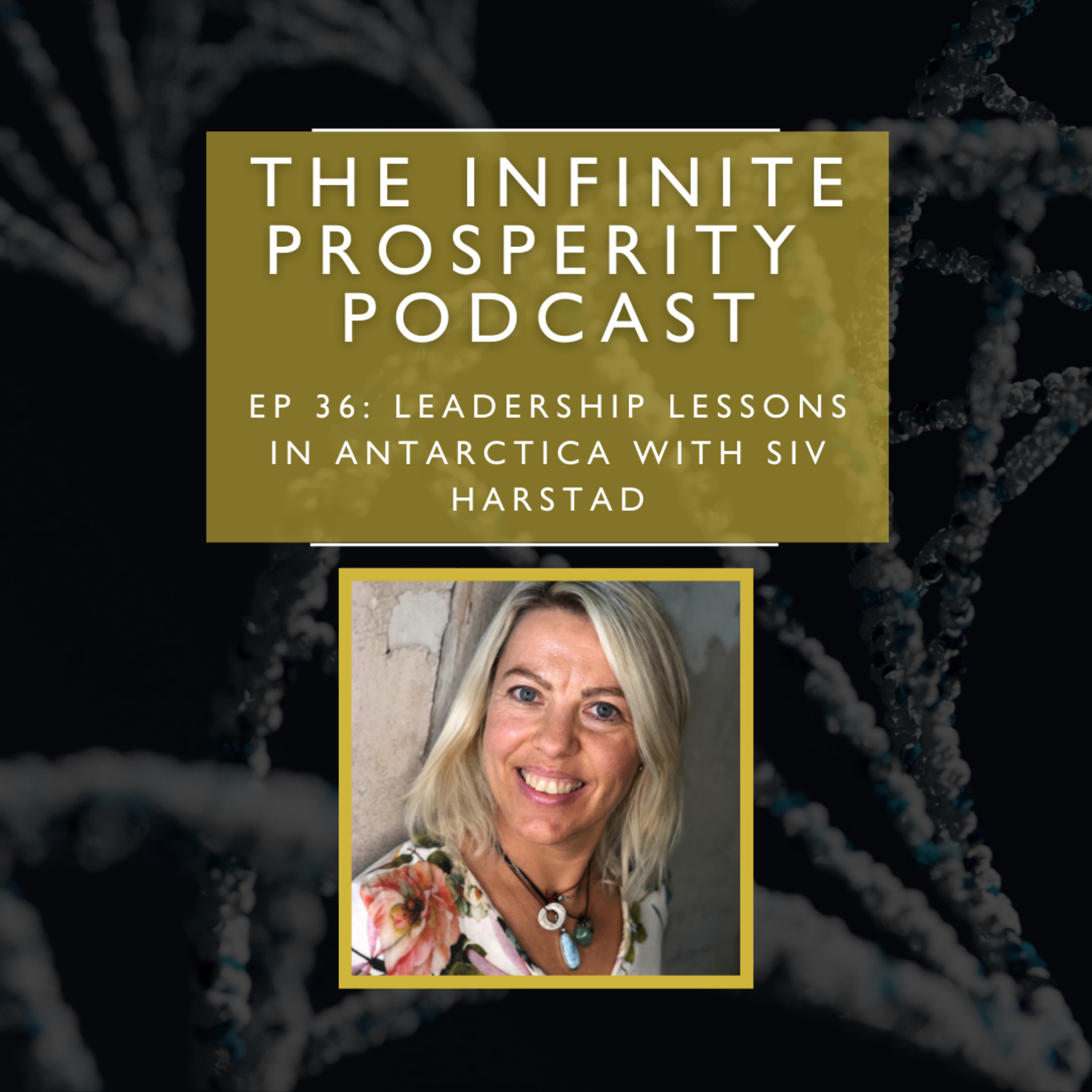The Infinite Prosperity Podcast