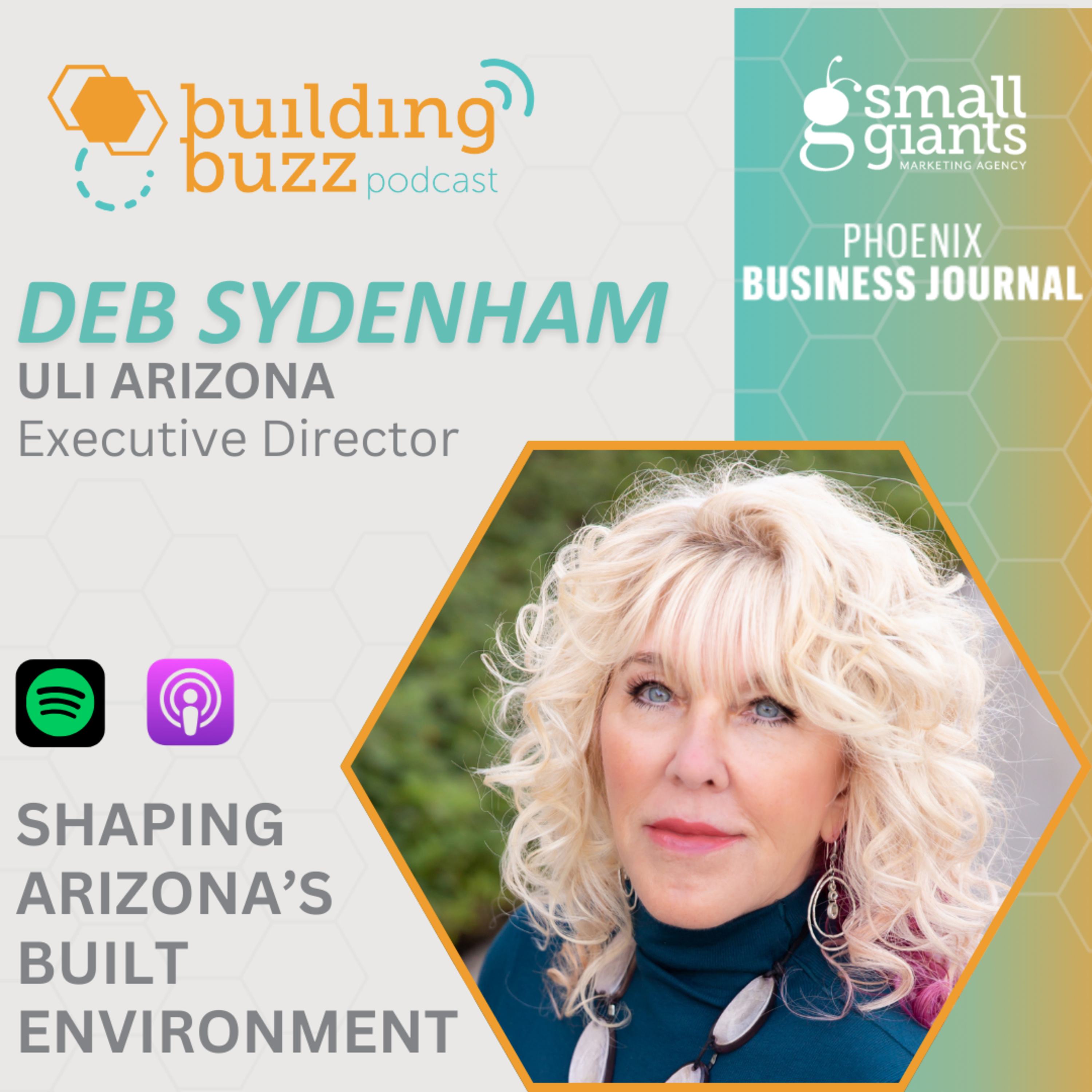 Shaping Arizona’s Built Environment with Deb Sydenham episode artwork