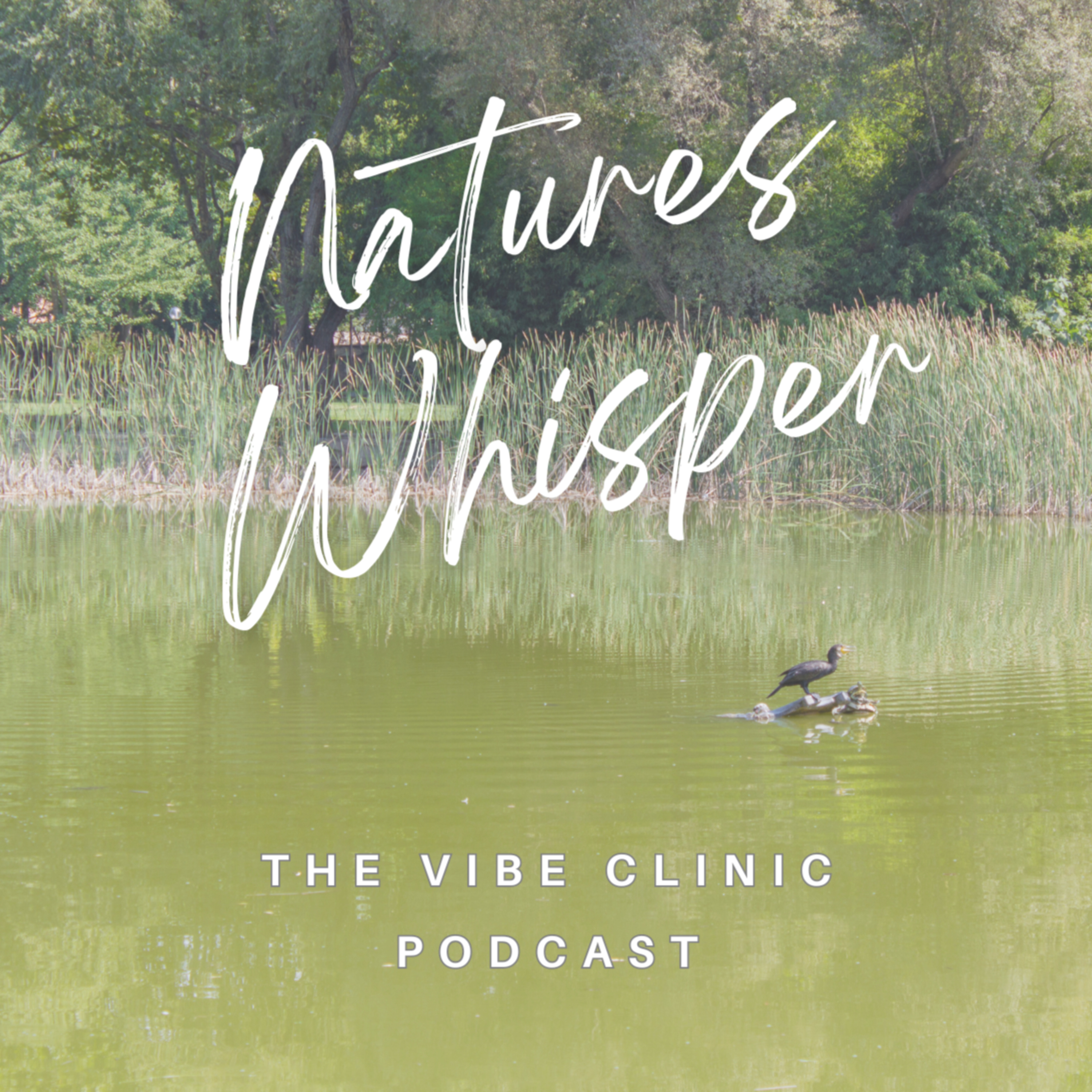 The Vibe Clinic