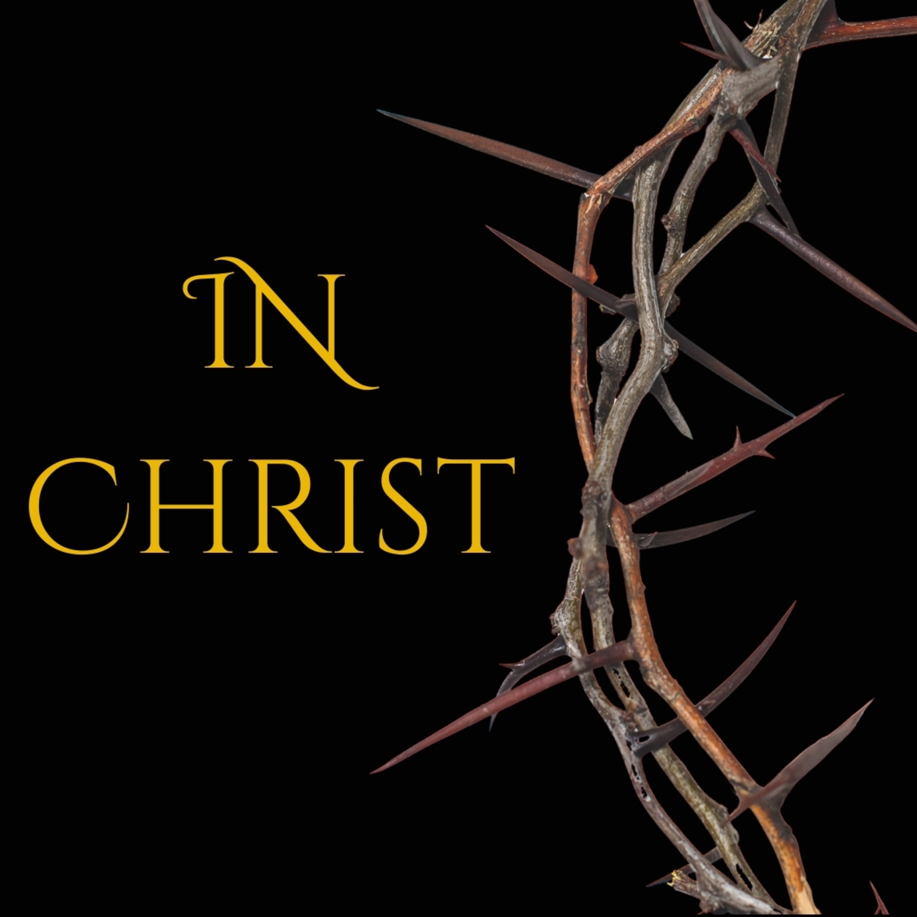 In Christ - Ps Andrew McCarthy episode artwork
