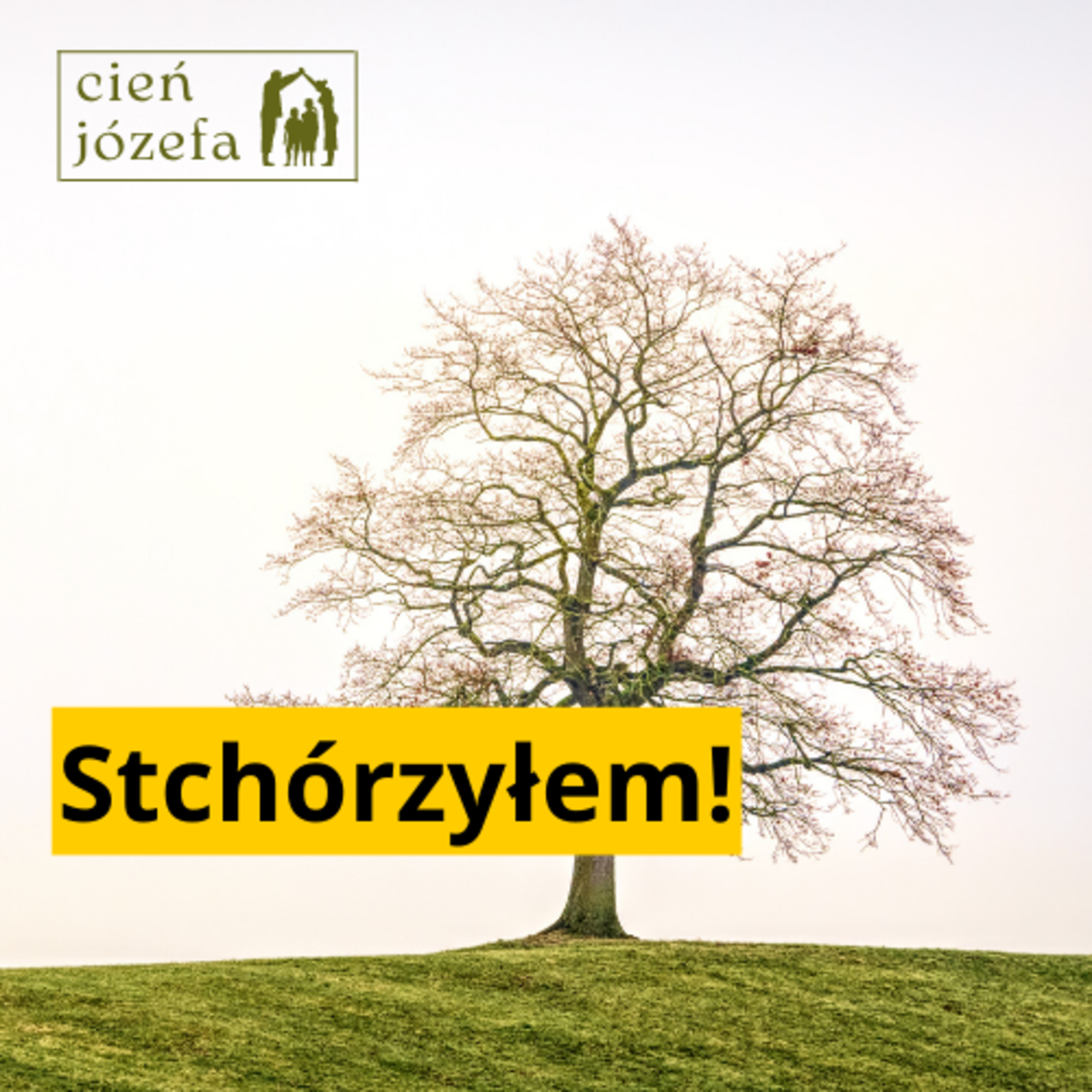 Cień Józefa. Mężczyzna w rodzinie.
