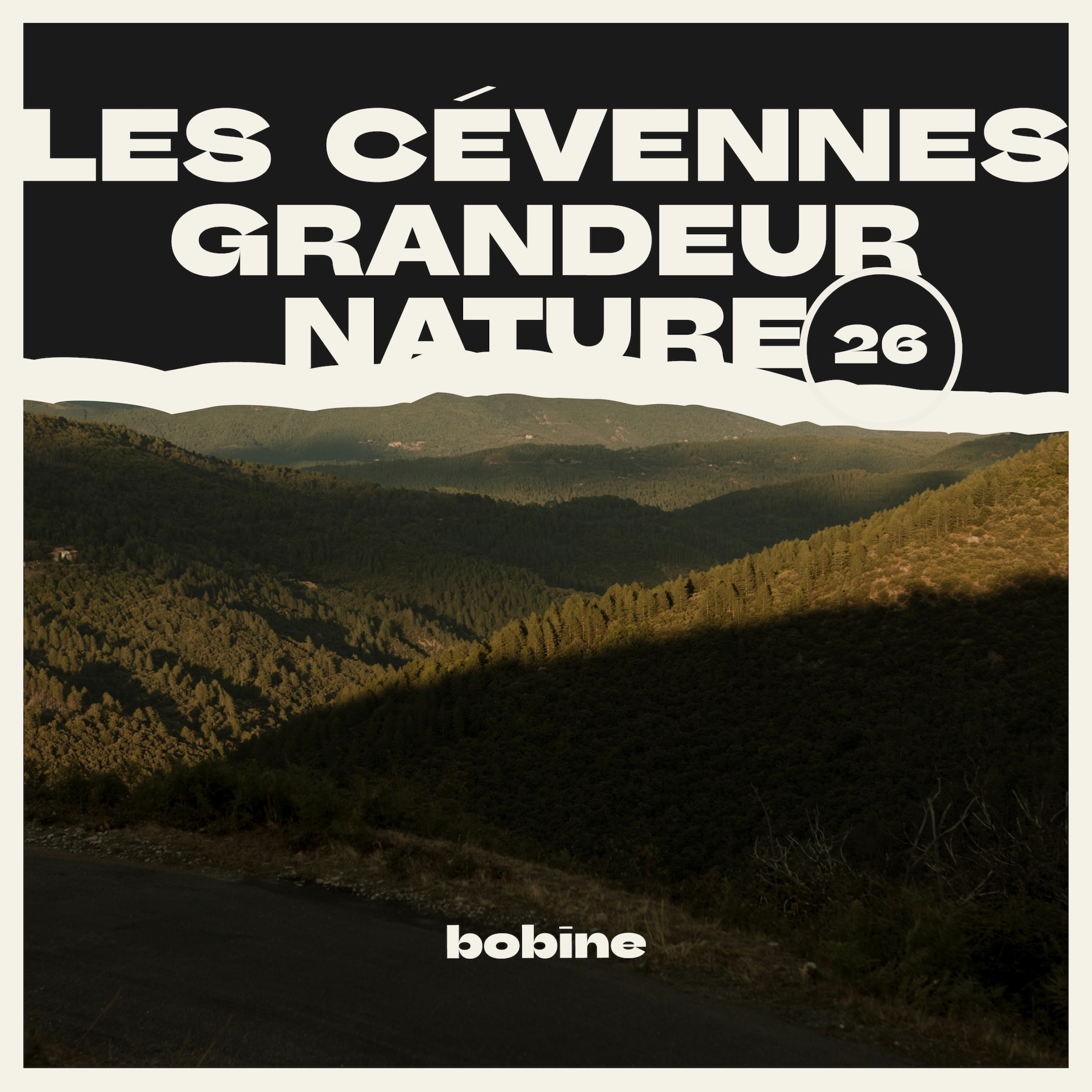 Bobine
