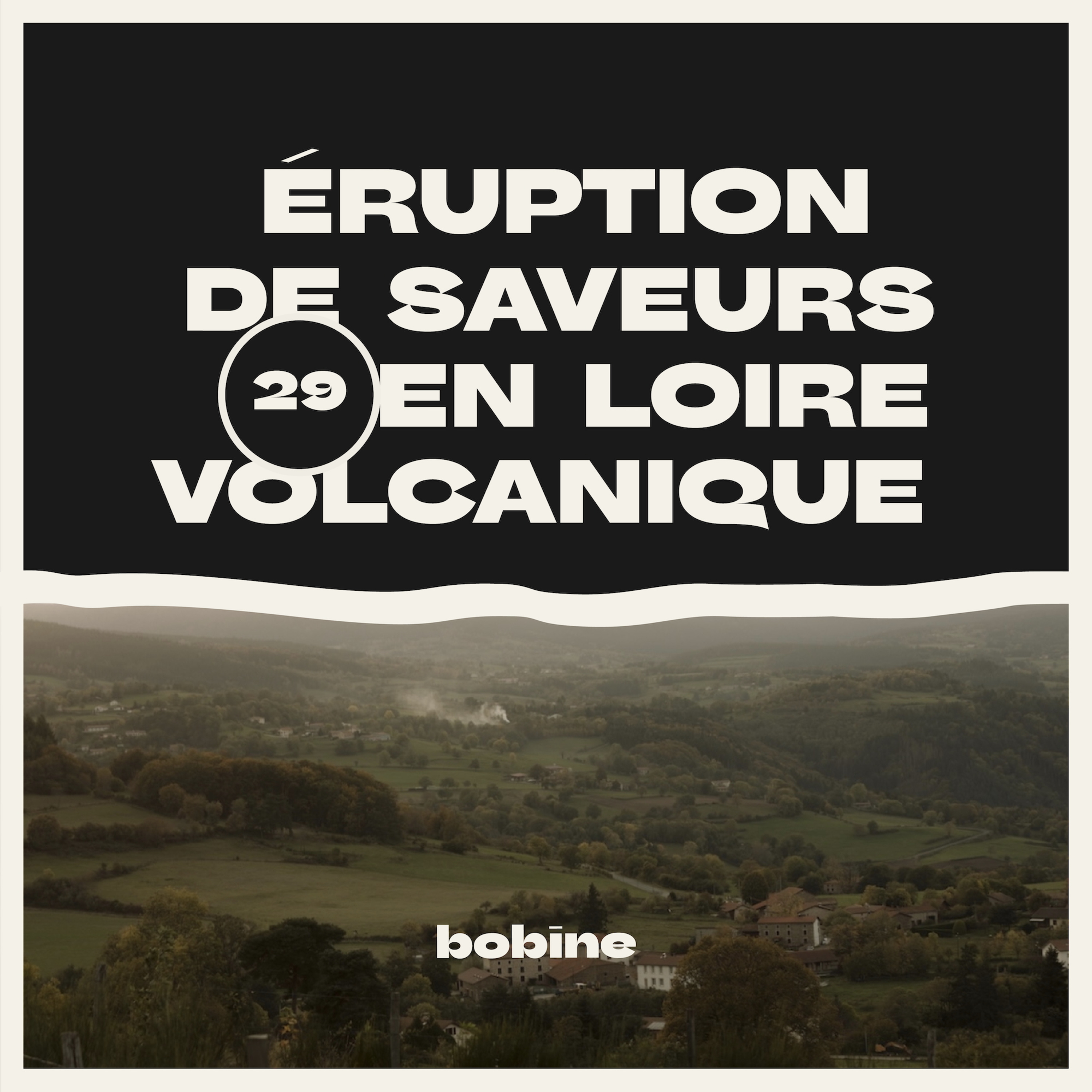 Bobine