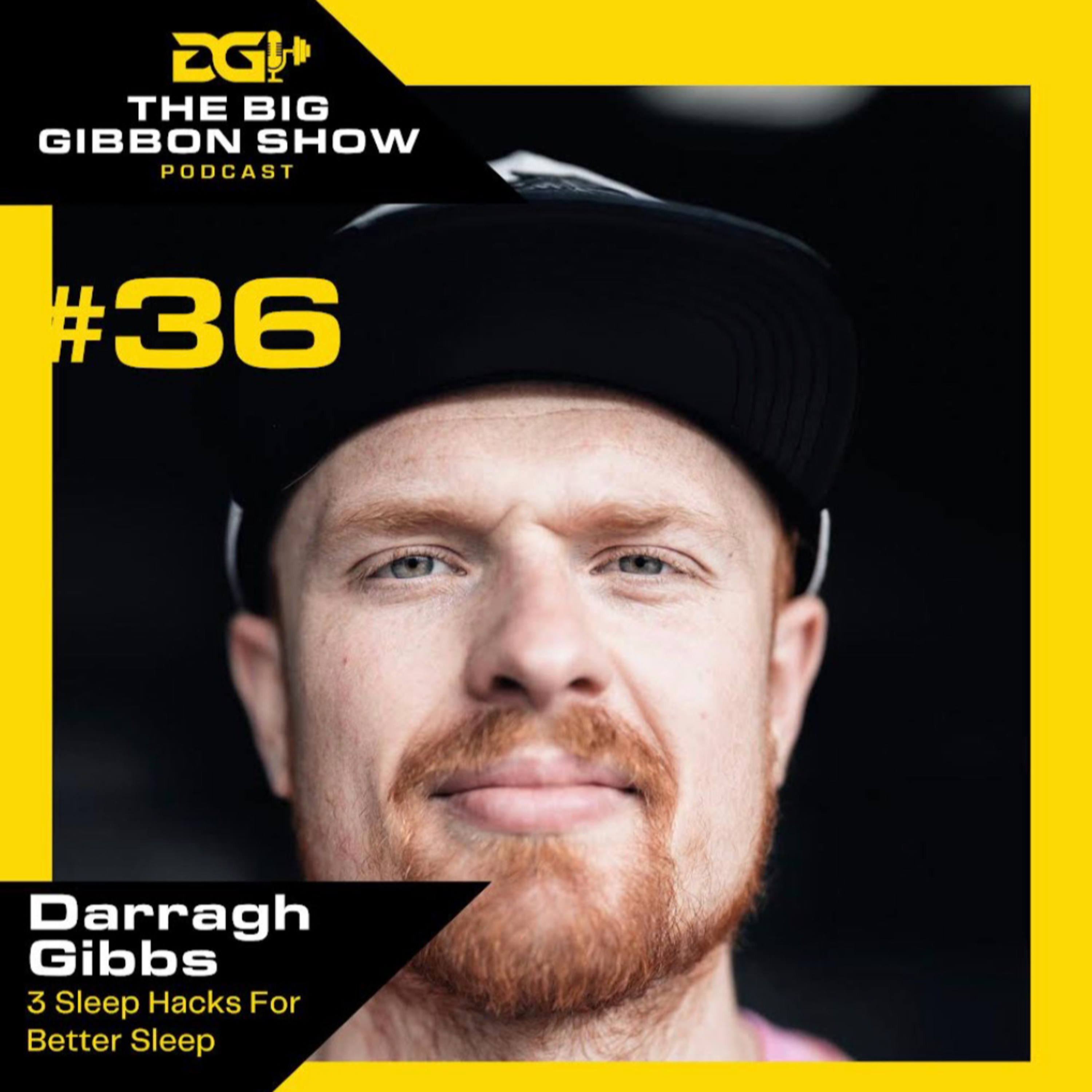 The Big Gibbon Show