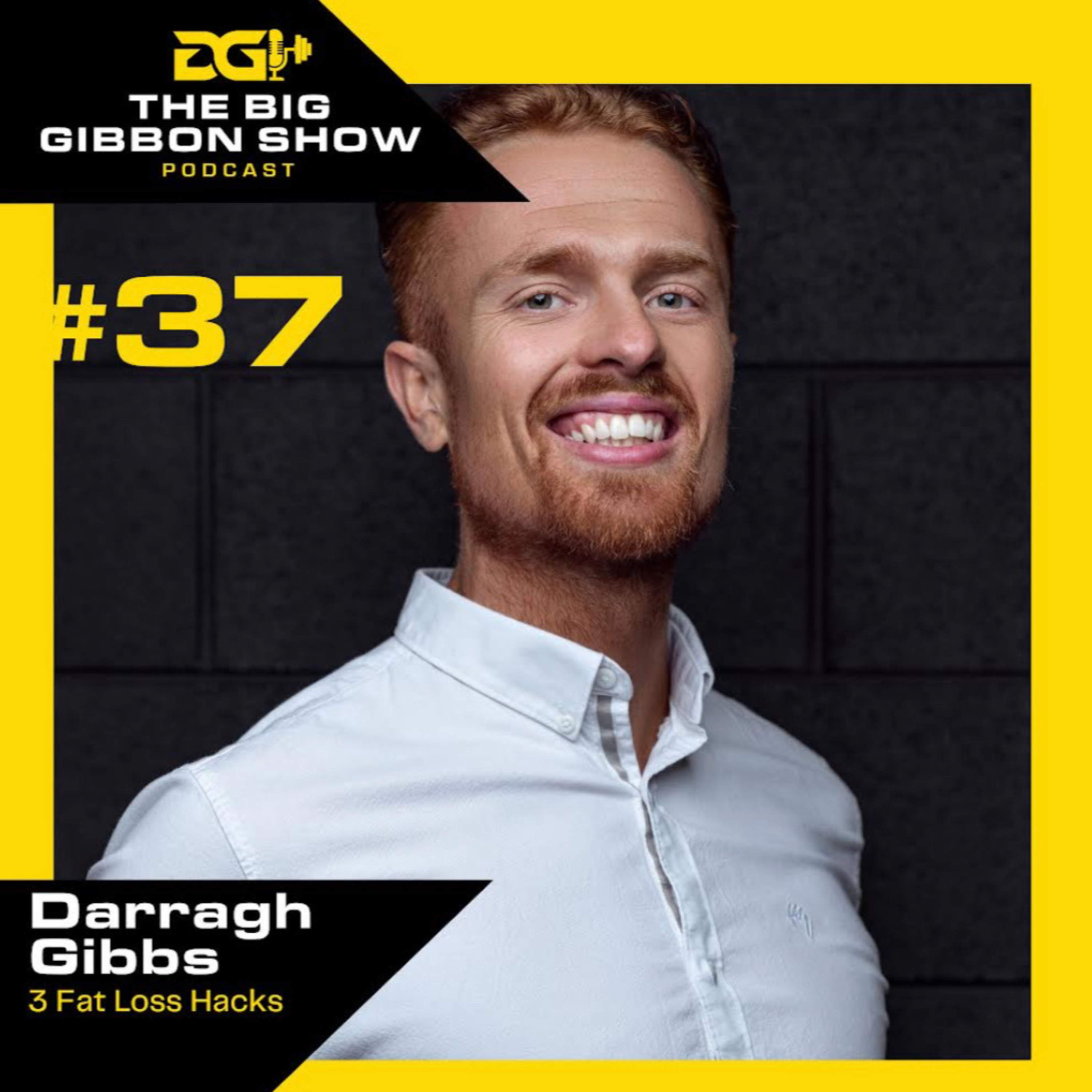 The Big Gibbon Show