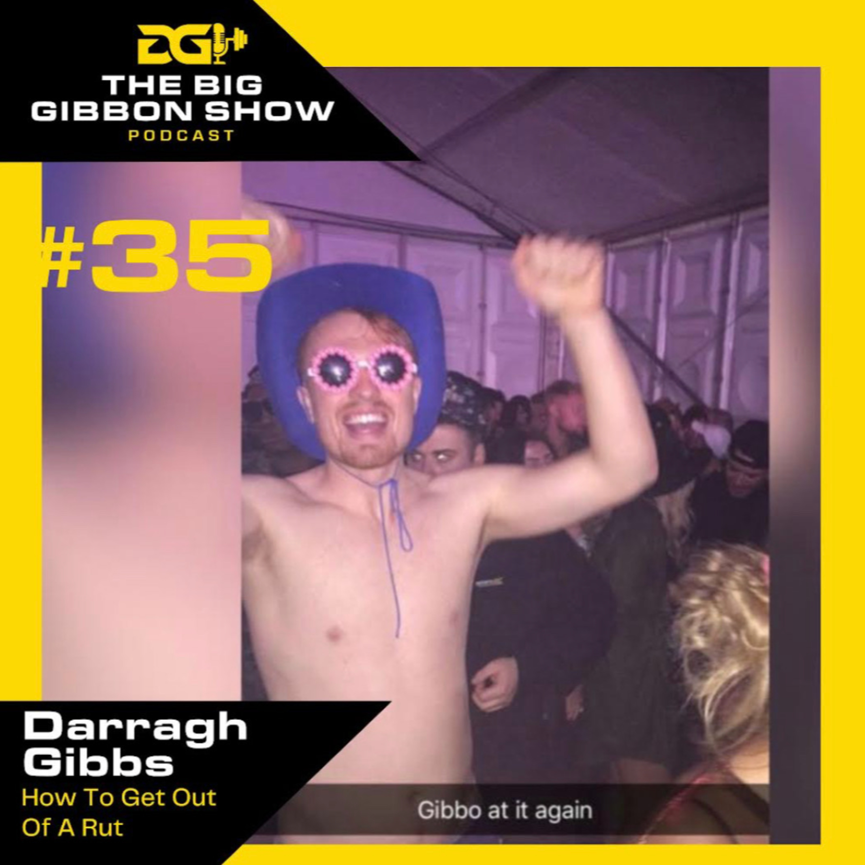 The Big Gibbon Show
