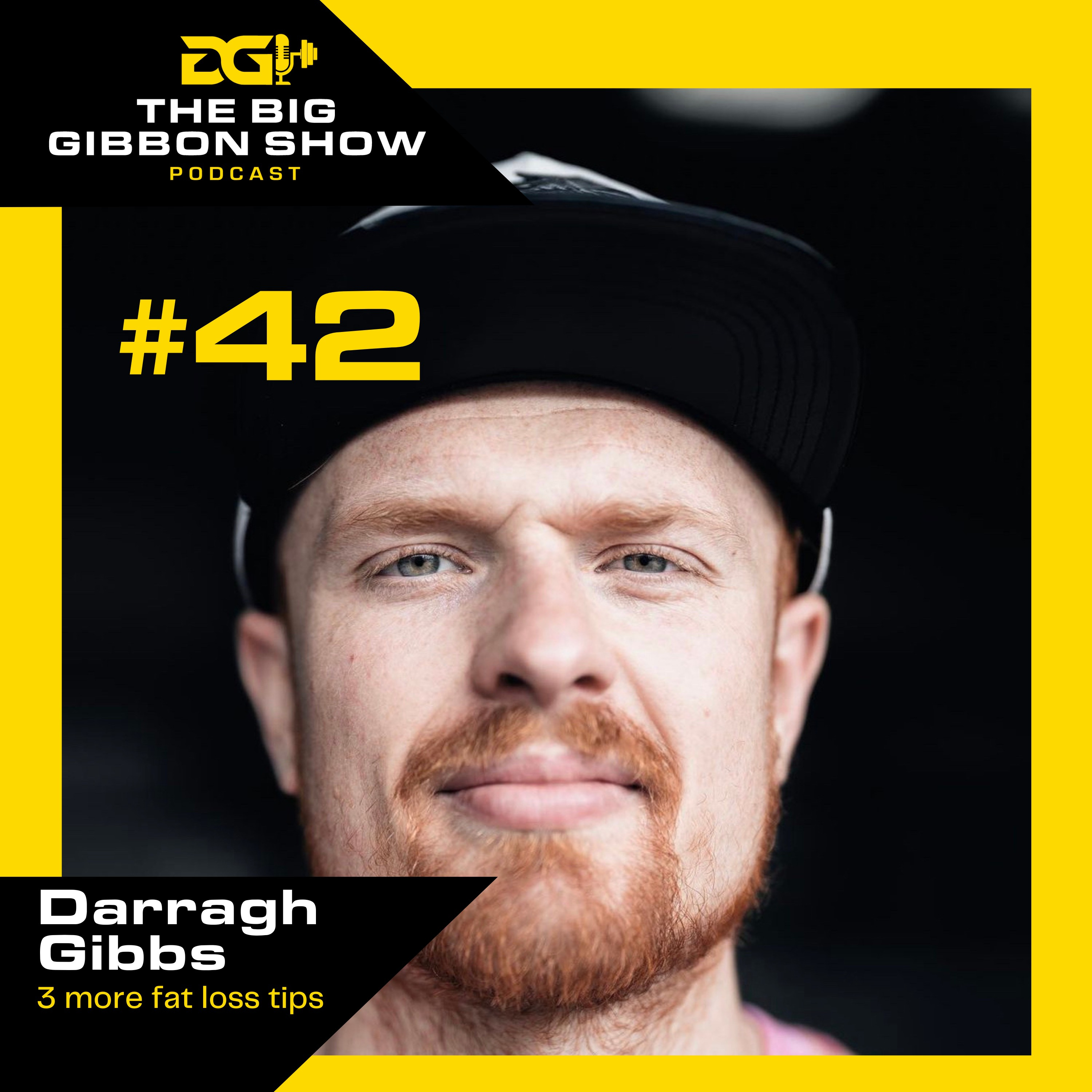 The Big Gibbon Show