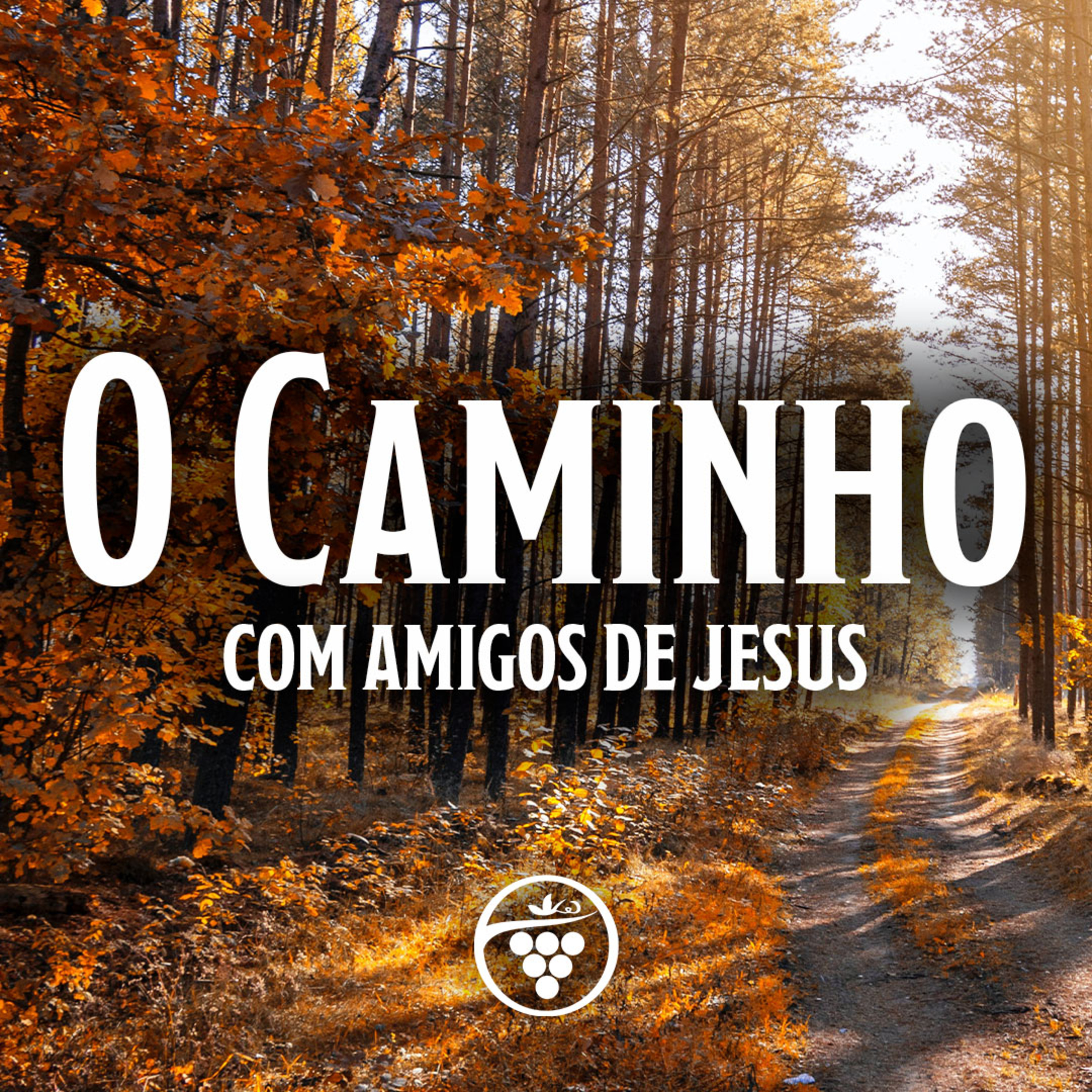 Carlos McCord