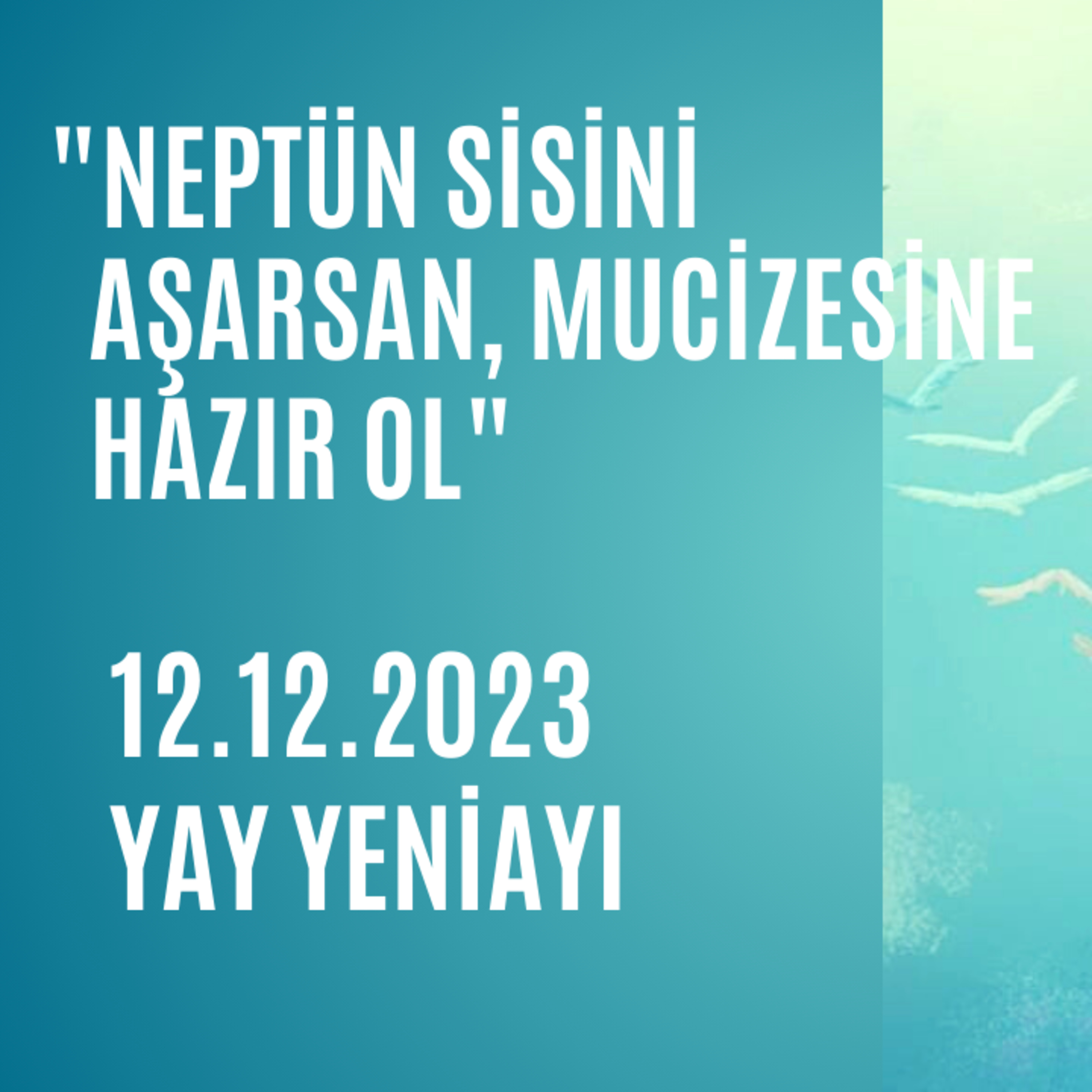 Bölüm 62: 12.12.2023 Yay Yeniayı episode artwork