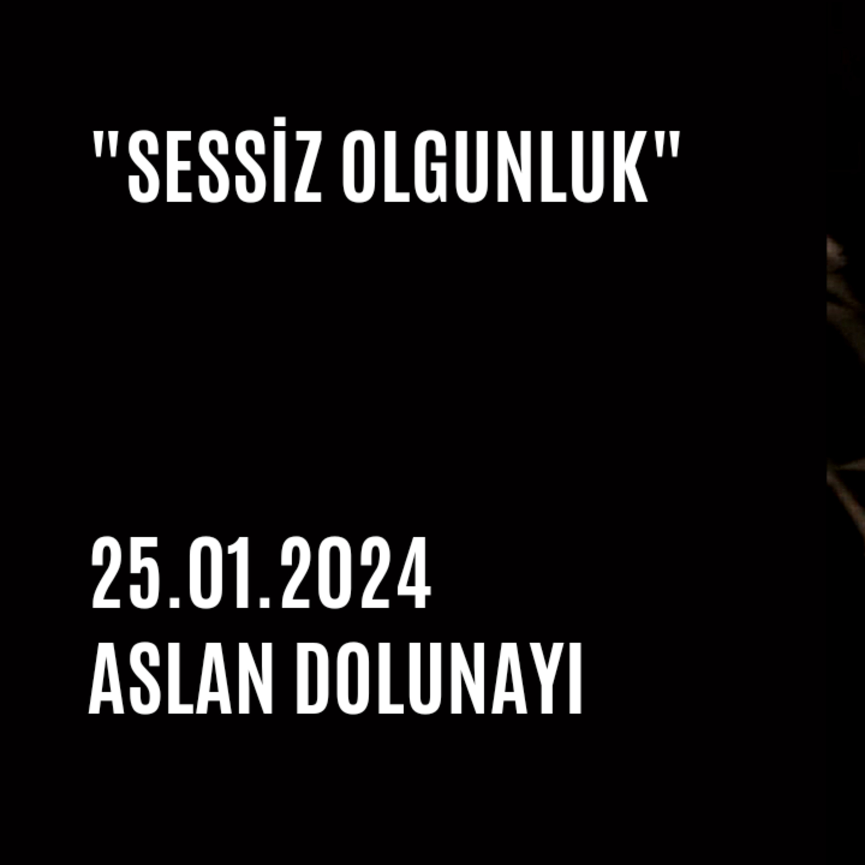 Bölüm 65: 25.01.2024 Aslan Dolunayı episode artwork