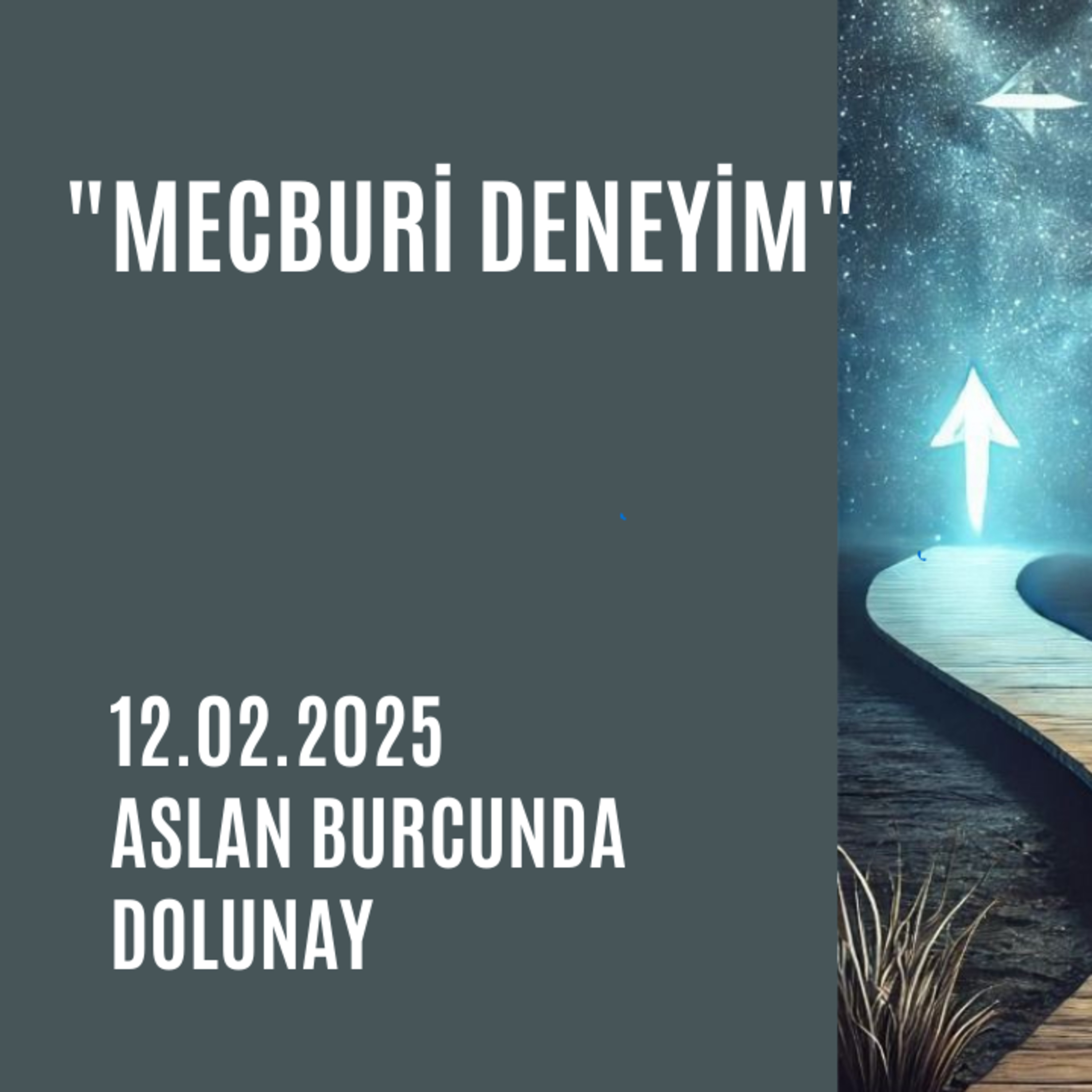 Bölüm 91: 12.02.2025 Aslan Dolunayı episode artwork