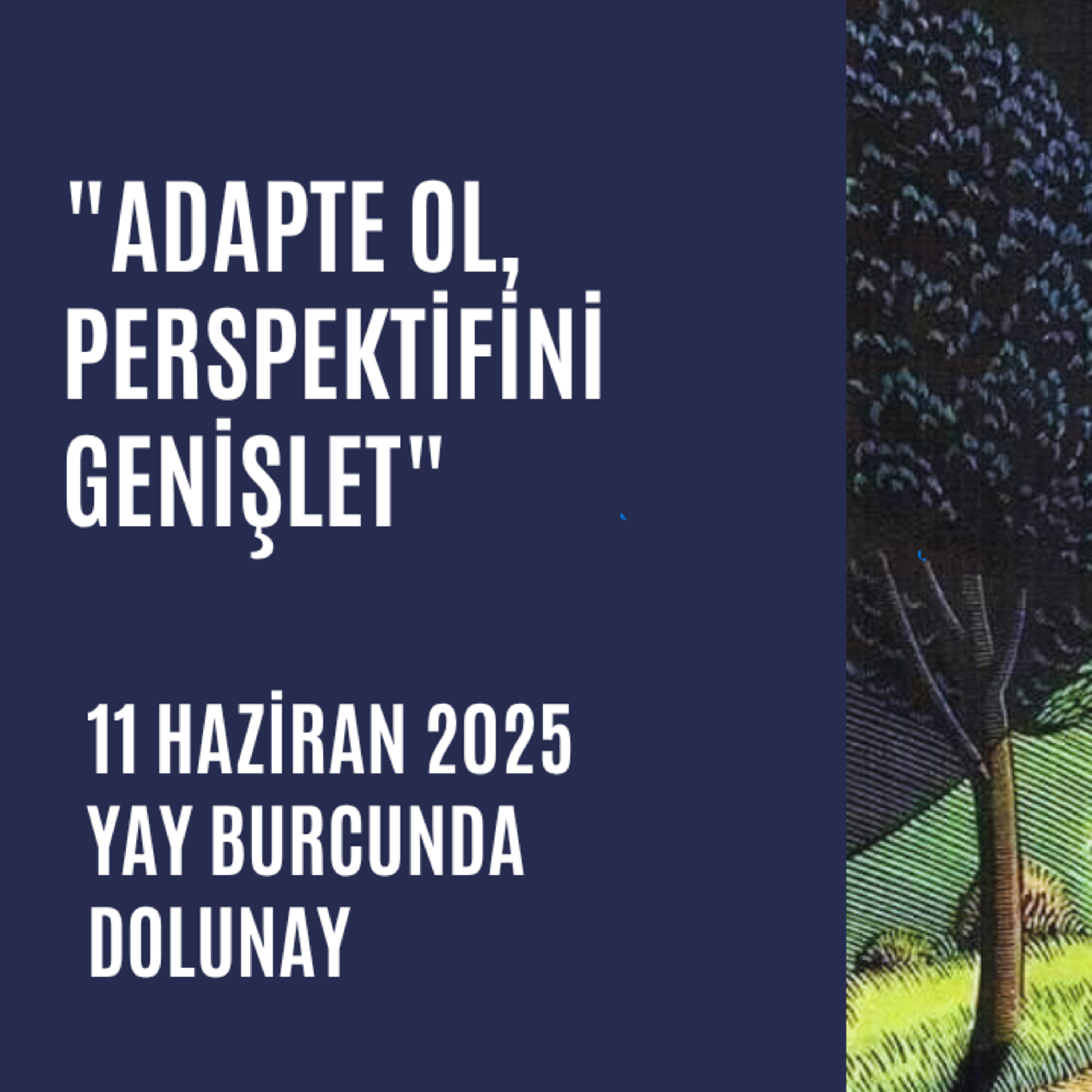 Bölüm 100: 11.06.2025 Yay dolunayı episode artwork