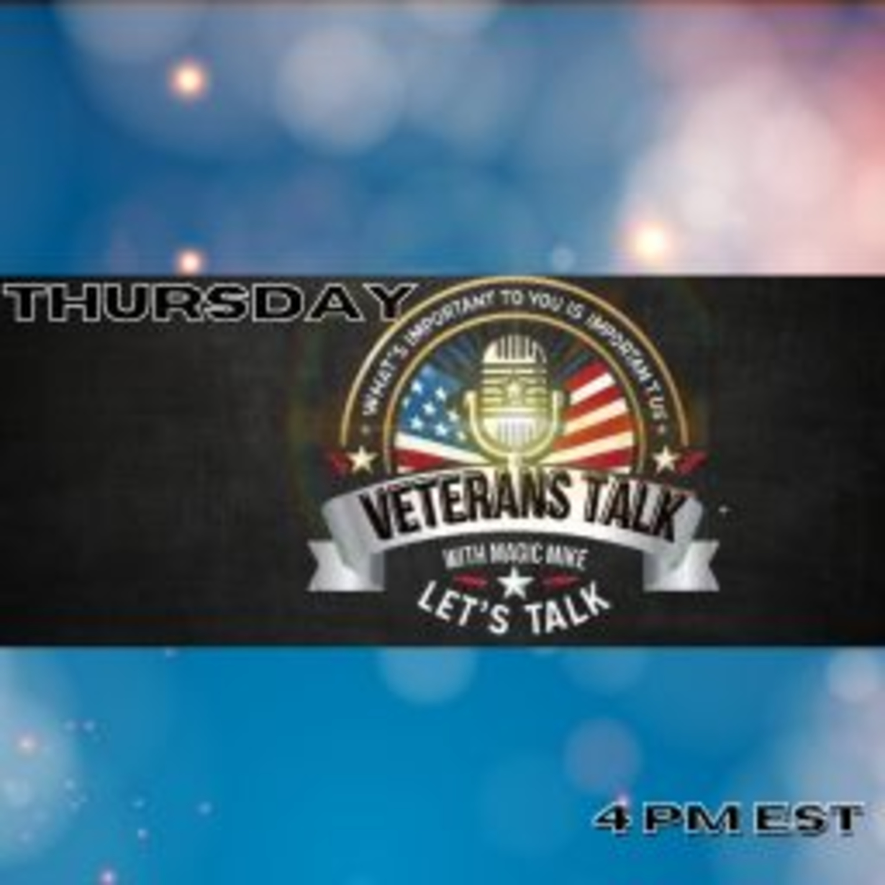 Veterans Talk- Adapting to Noise