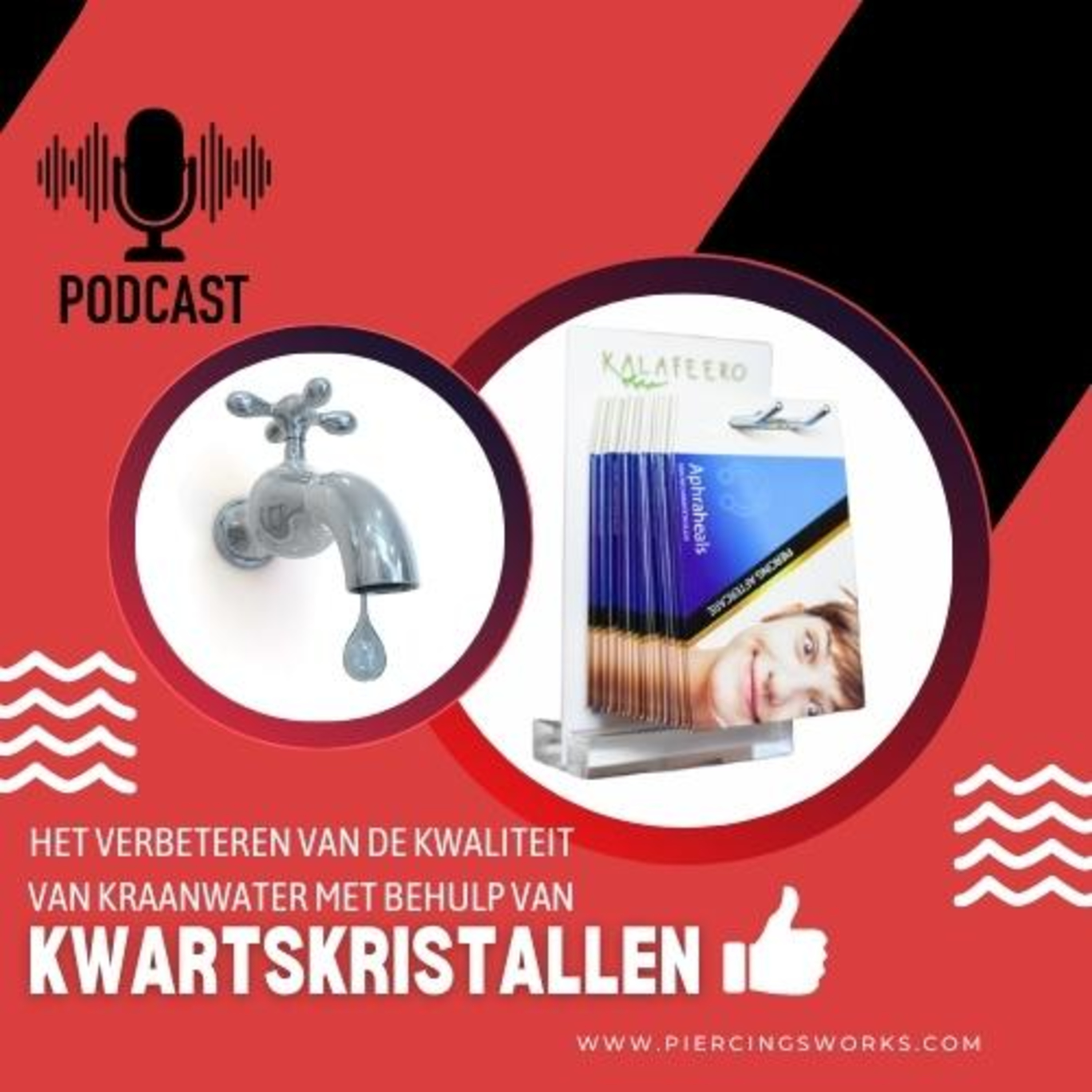 Piercings Works Podcast - NL