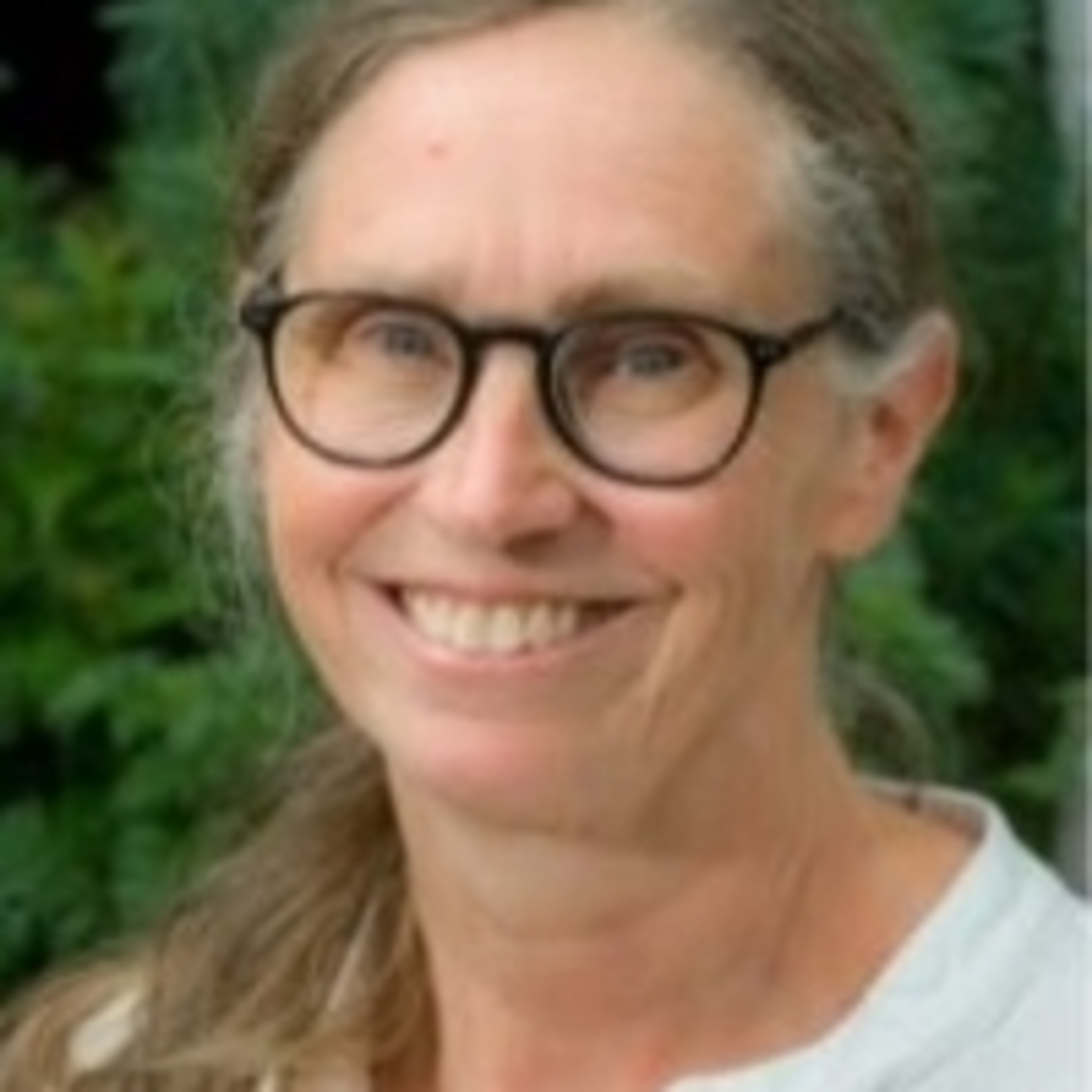 Haagse Invloeden