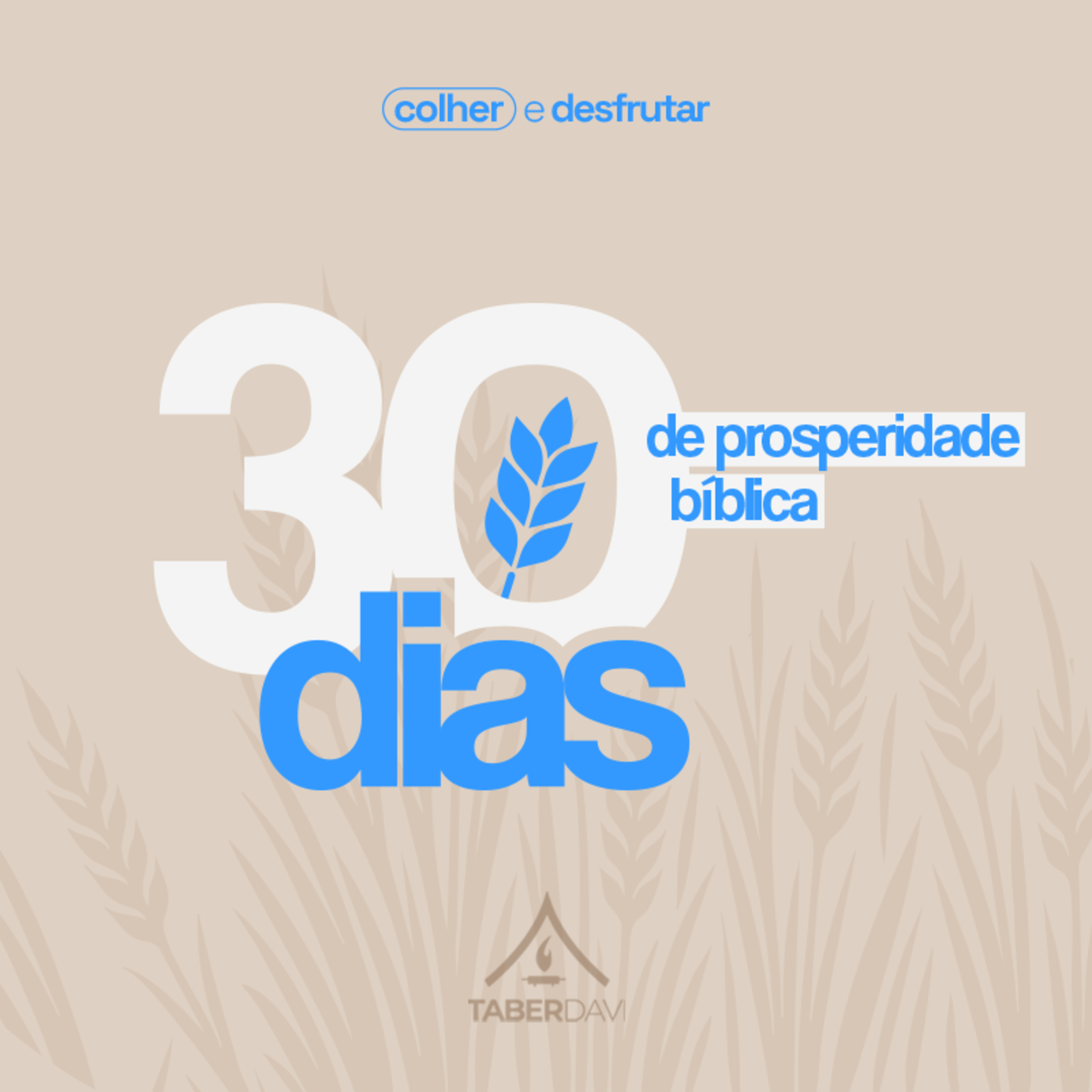 TaberDavi | Curitiba Pr