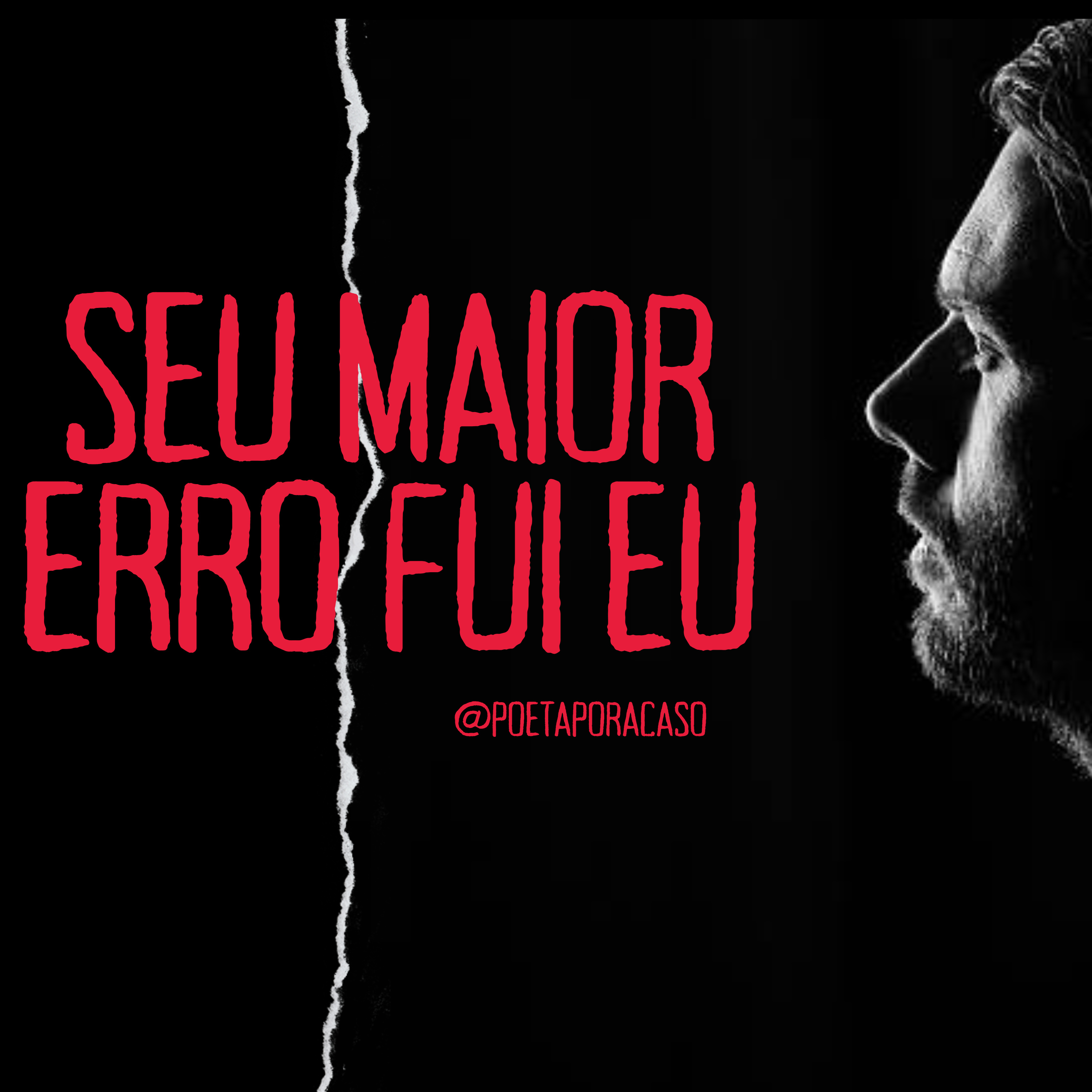 Poeta Por Acaso
