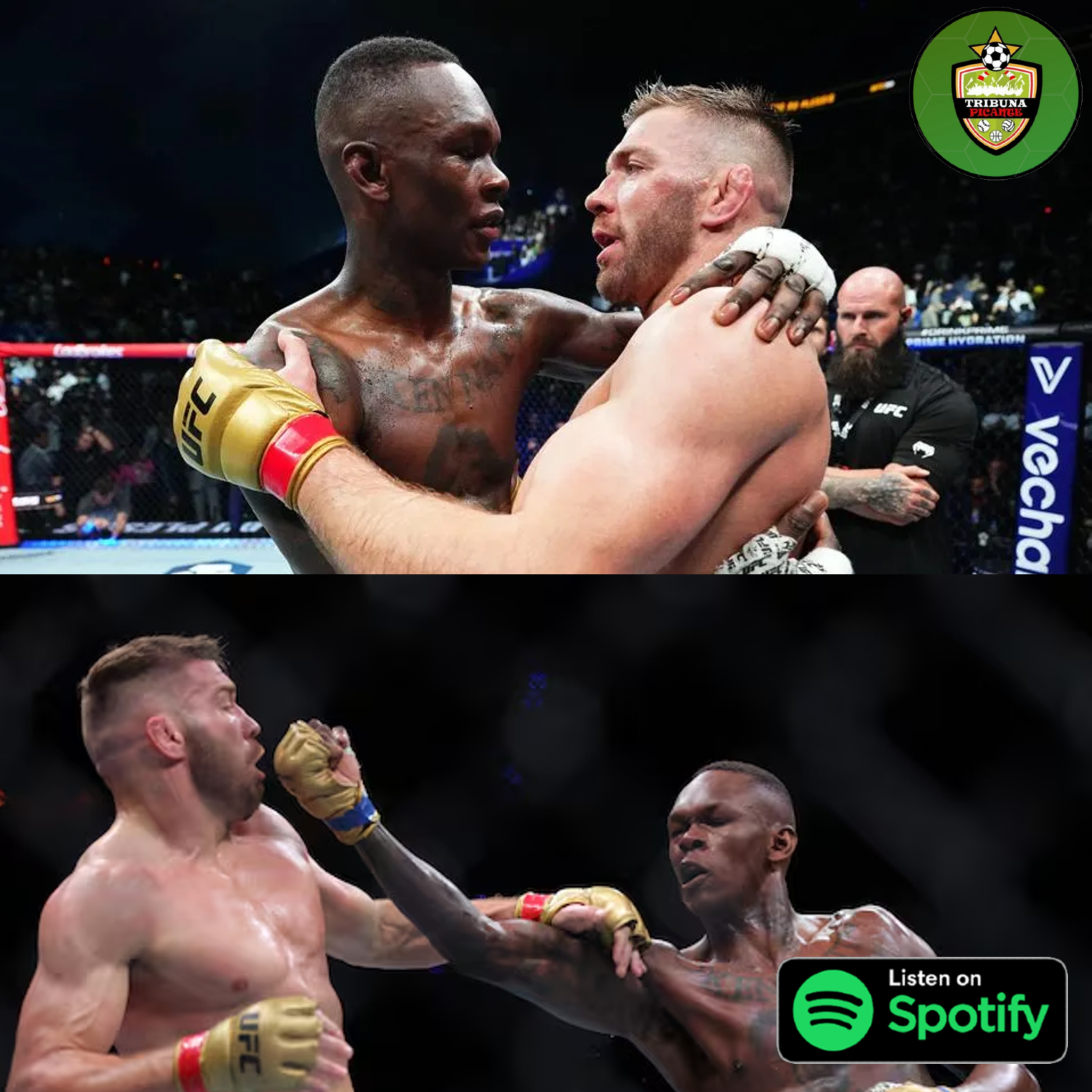 Podcast Picante de MMA - UFC 305 y la actualidad de las MMA episode artwork