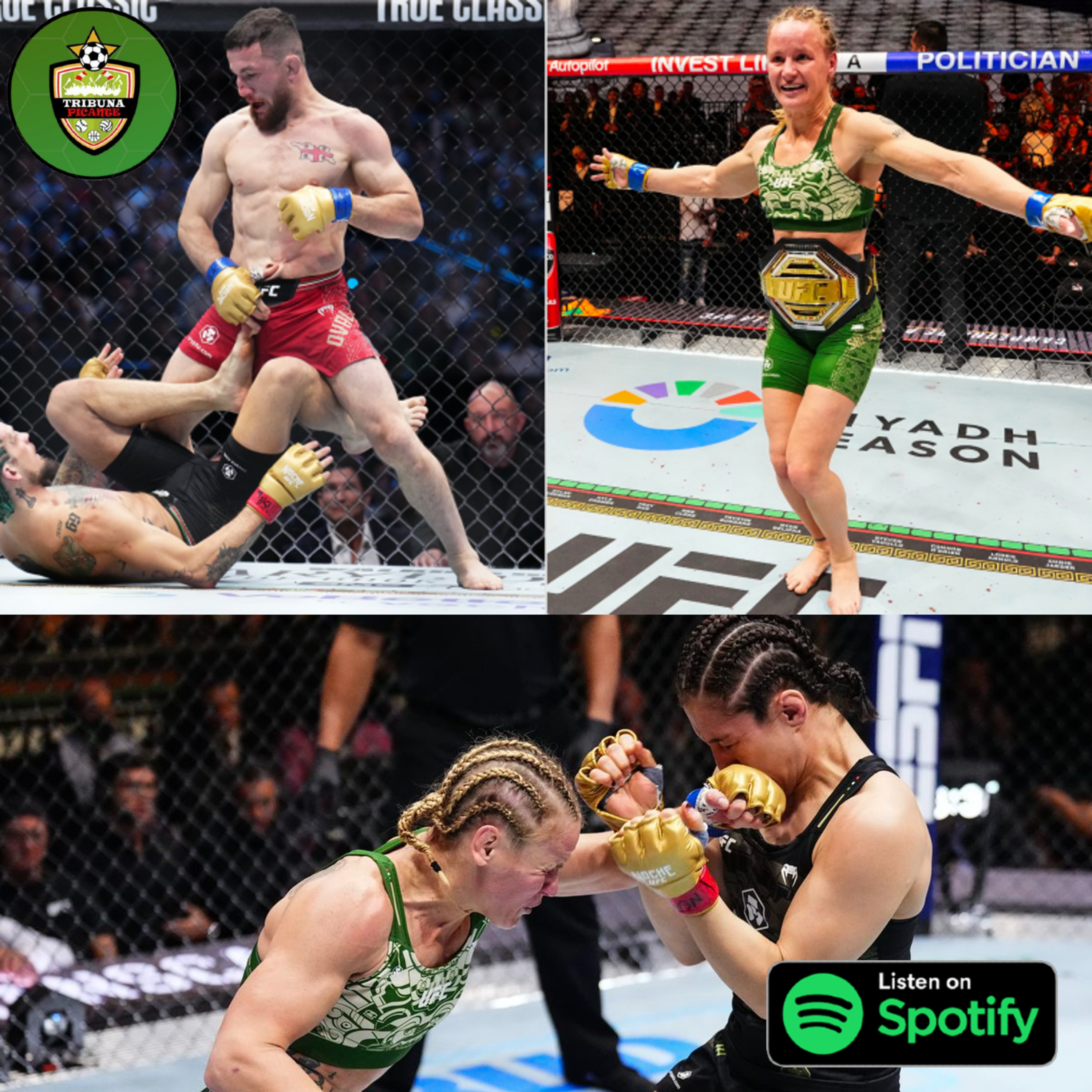 Podcast Picante de MMA - Análisis del Evento UFC 306  episode artwork