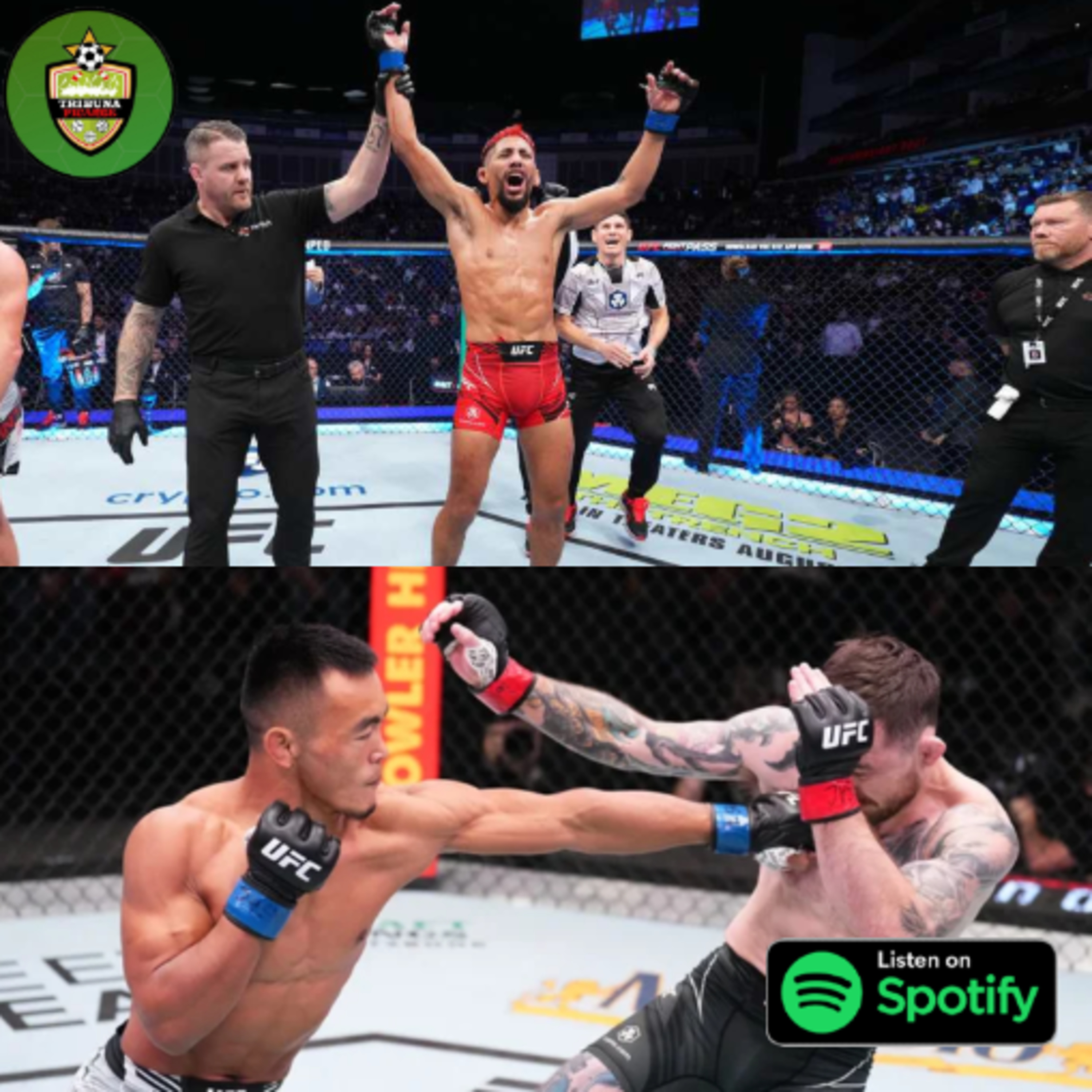 Podcast Picante de Artes Marciales Mixtas - Actualidad de las MMA al final de la Temporada 2024 episode artwork