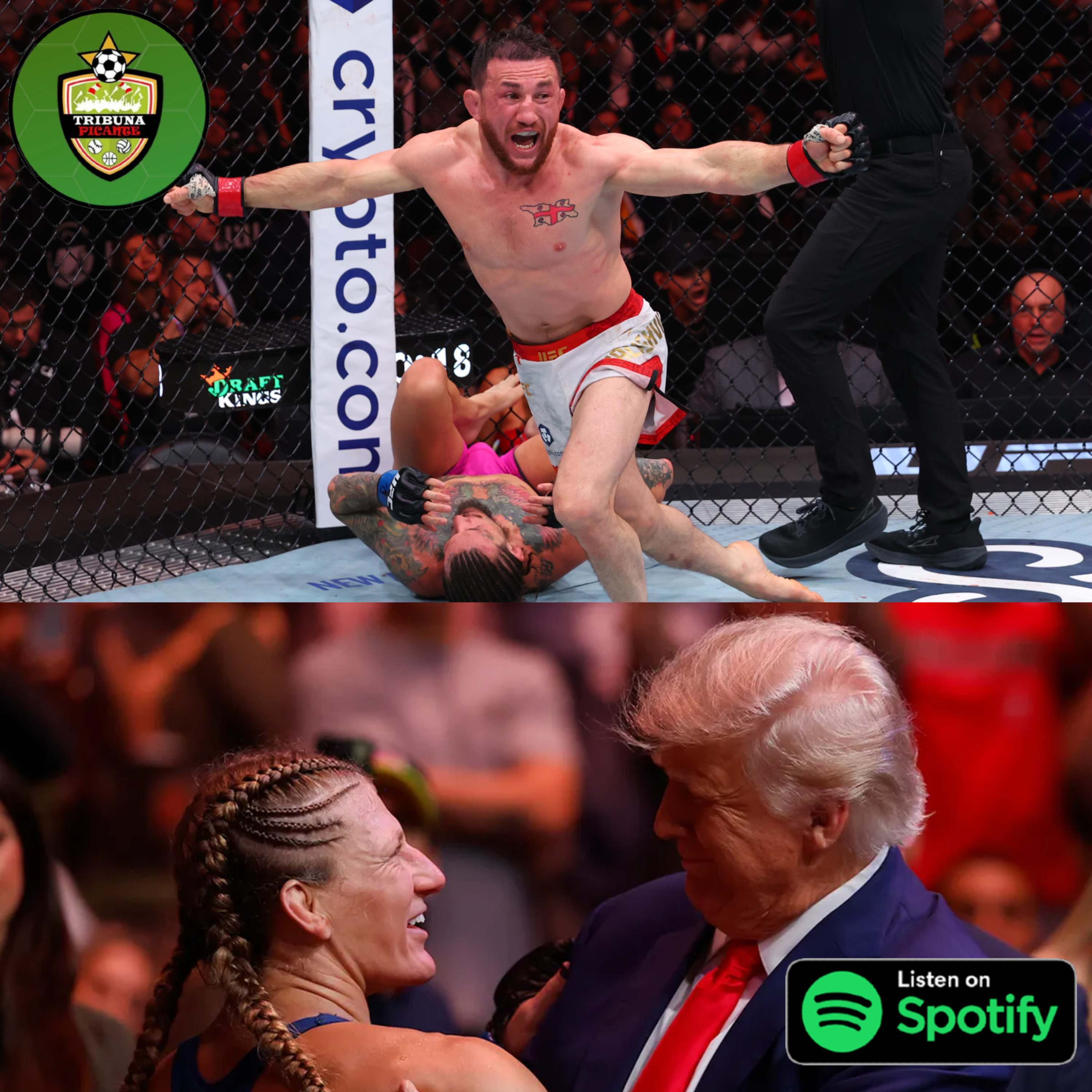 Podcast Picante de MMA - Dvalishvili y Harrison los MONARCAS del PESO GALLO en la UFC episode artwork