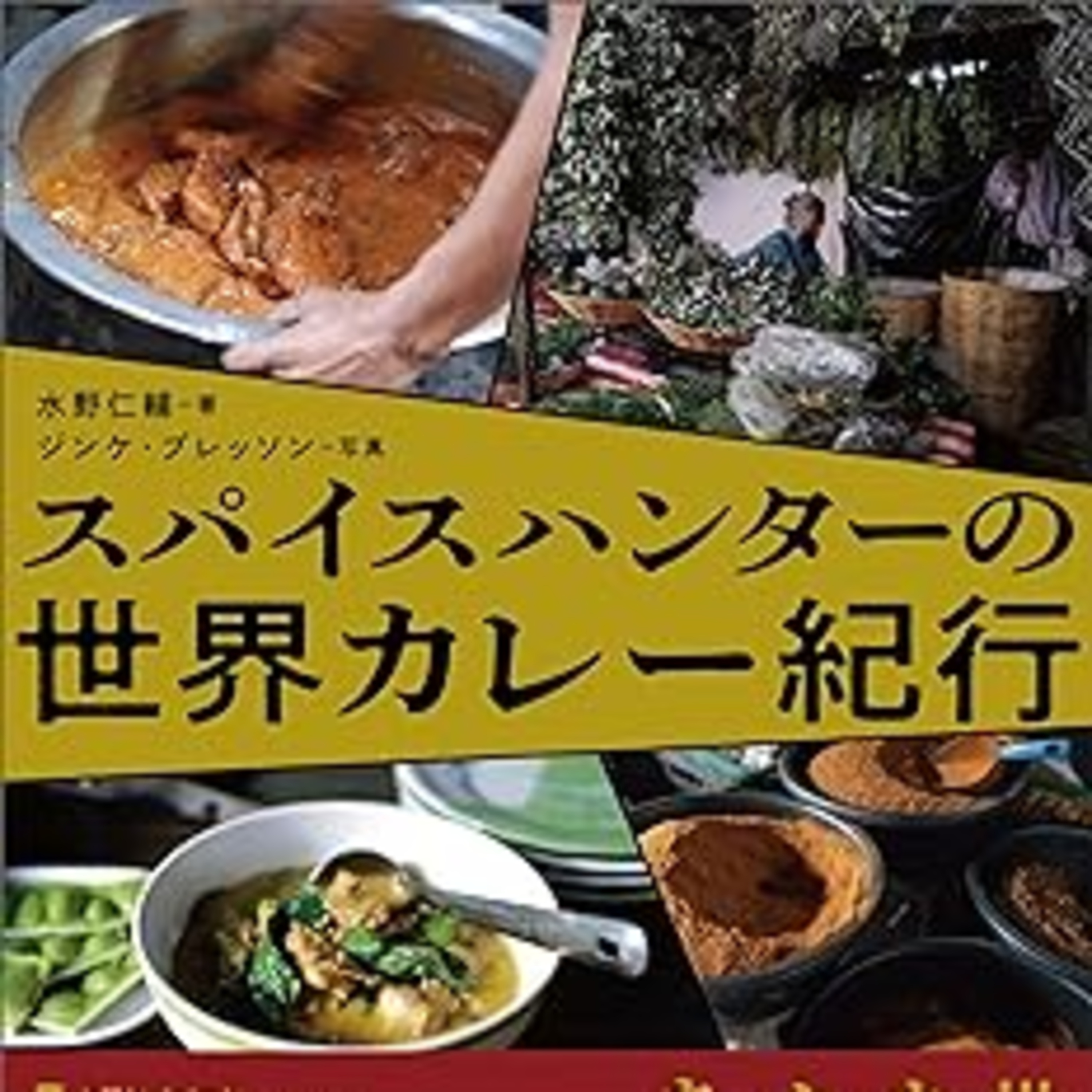 水野仁輔 著、ジンケ・ブレッソン 写真『スパイスハンターの世界カレー紀行』（産業編集センター） episode artwork