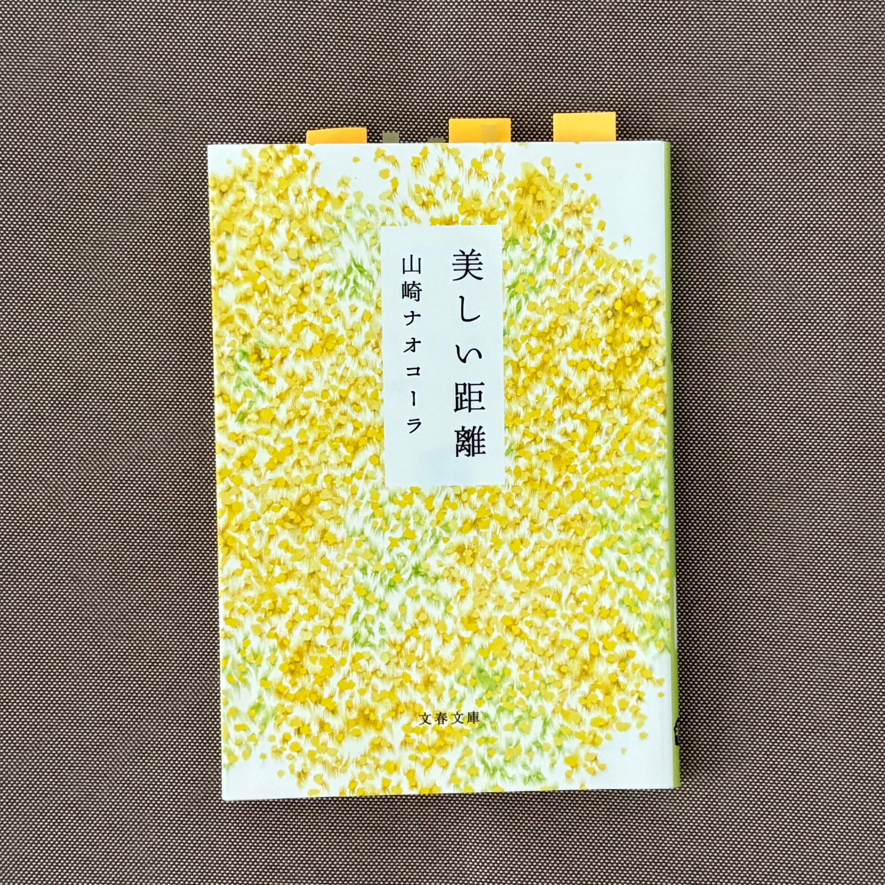 山崎ナオコーラ『美しい距離』(文春文庫) episode artwork