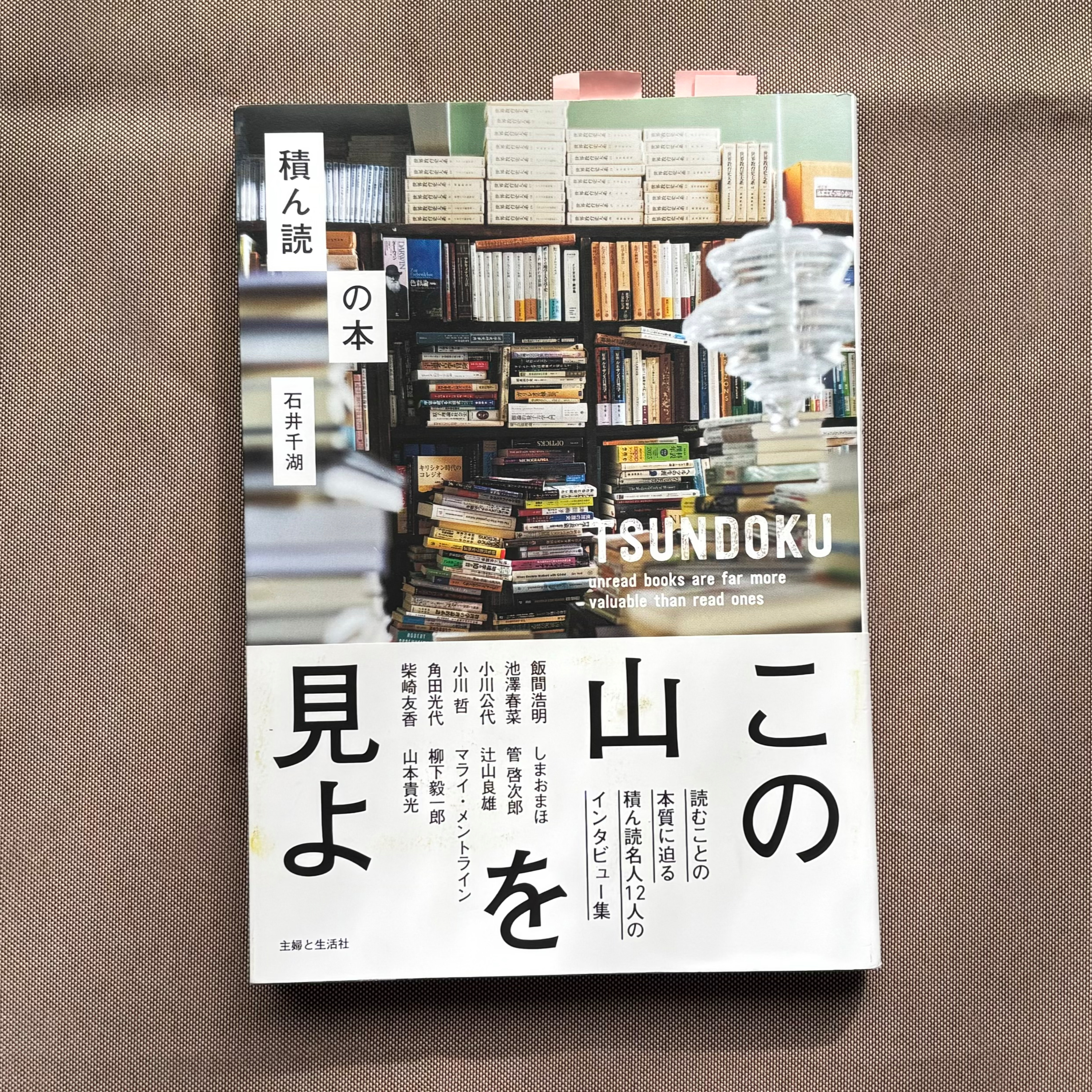 石井千湖『積ん読の本』（主婦と生活社） episode artwork