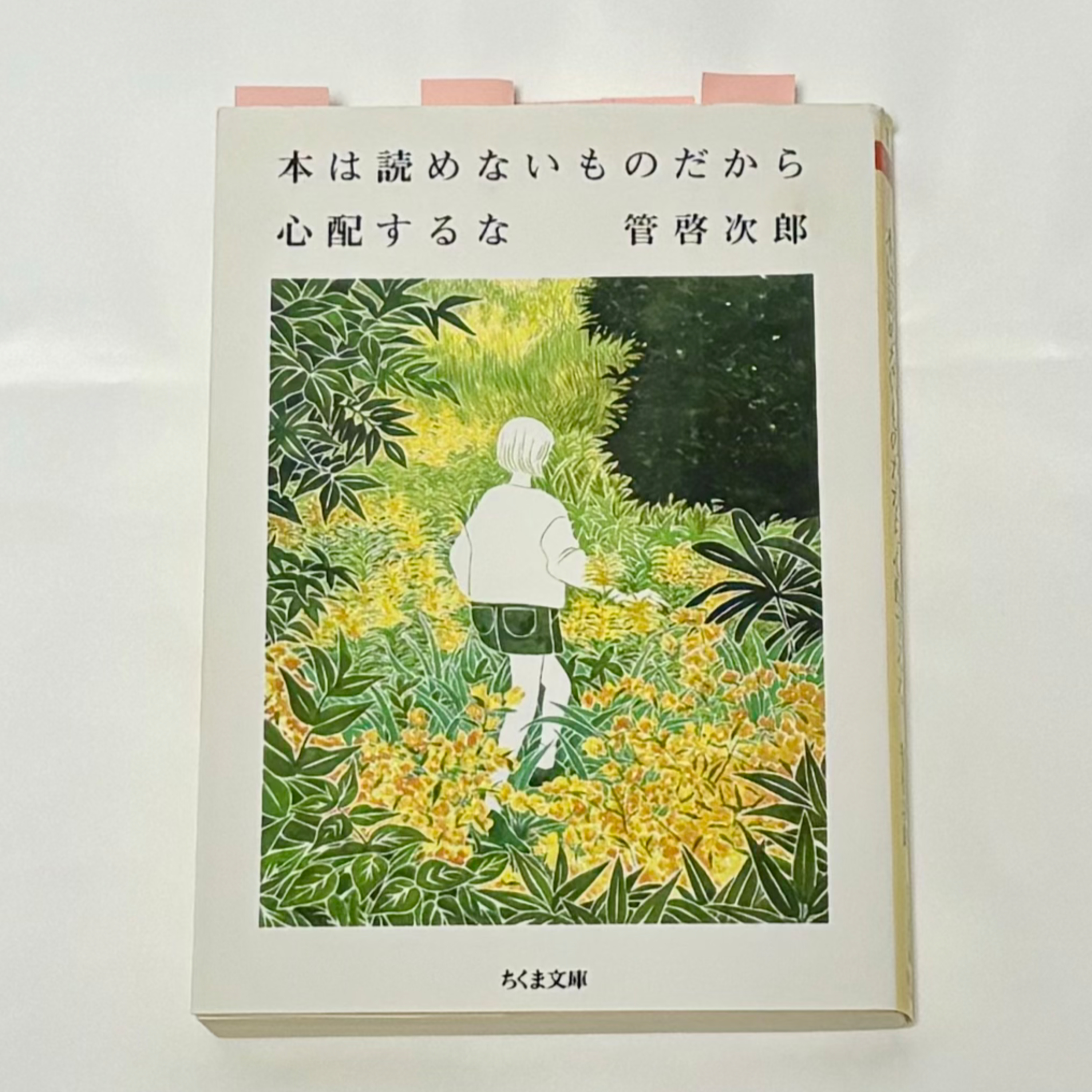 管啓次郎『本は読めないものだから心配するな』（ちくま文庫） episode artwork