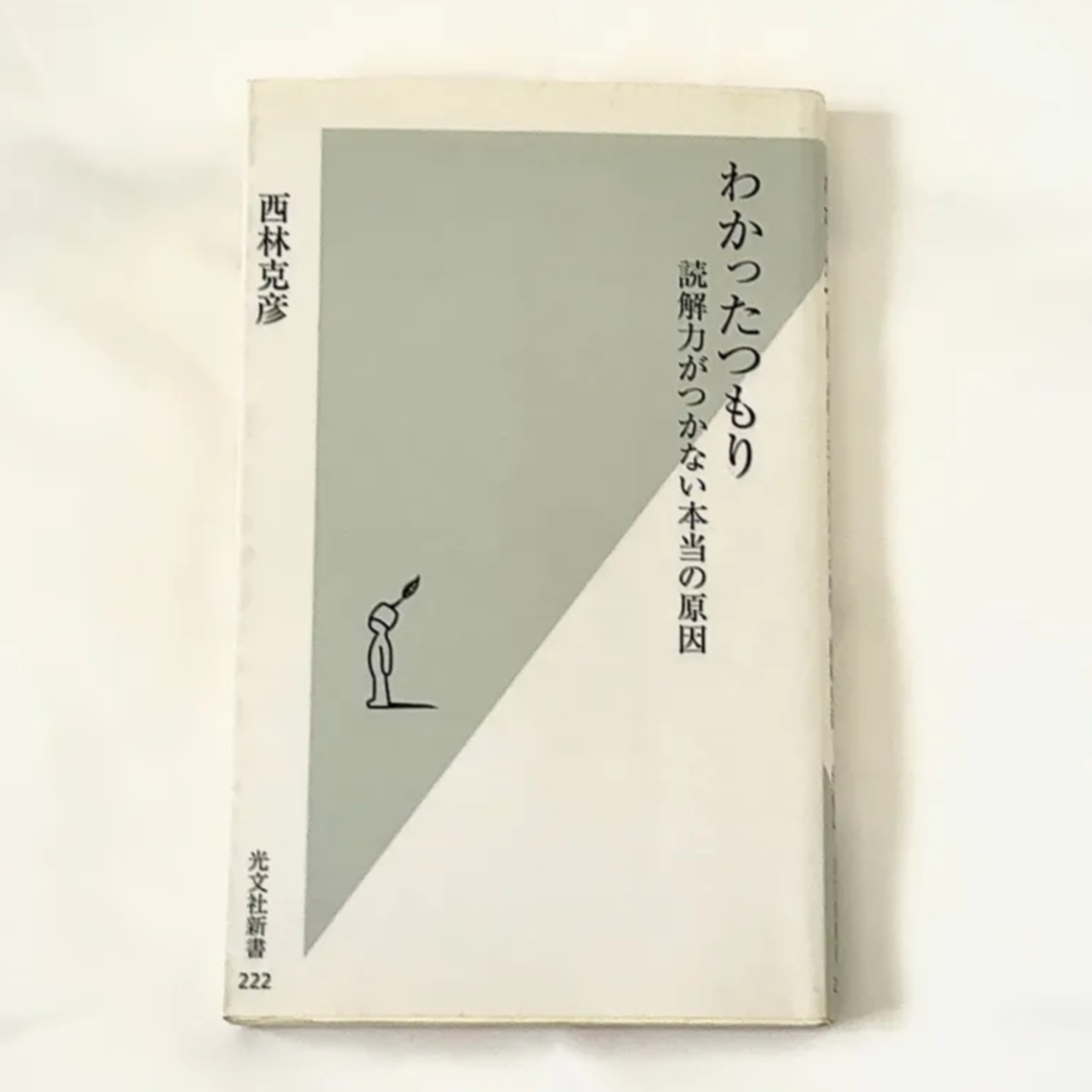西林克彦『わかったつもり 読解力がつかない本当の理由』（光文社新書） episode artwork