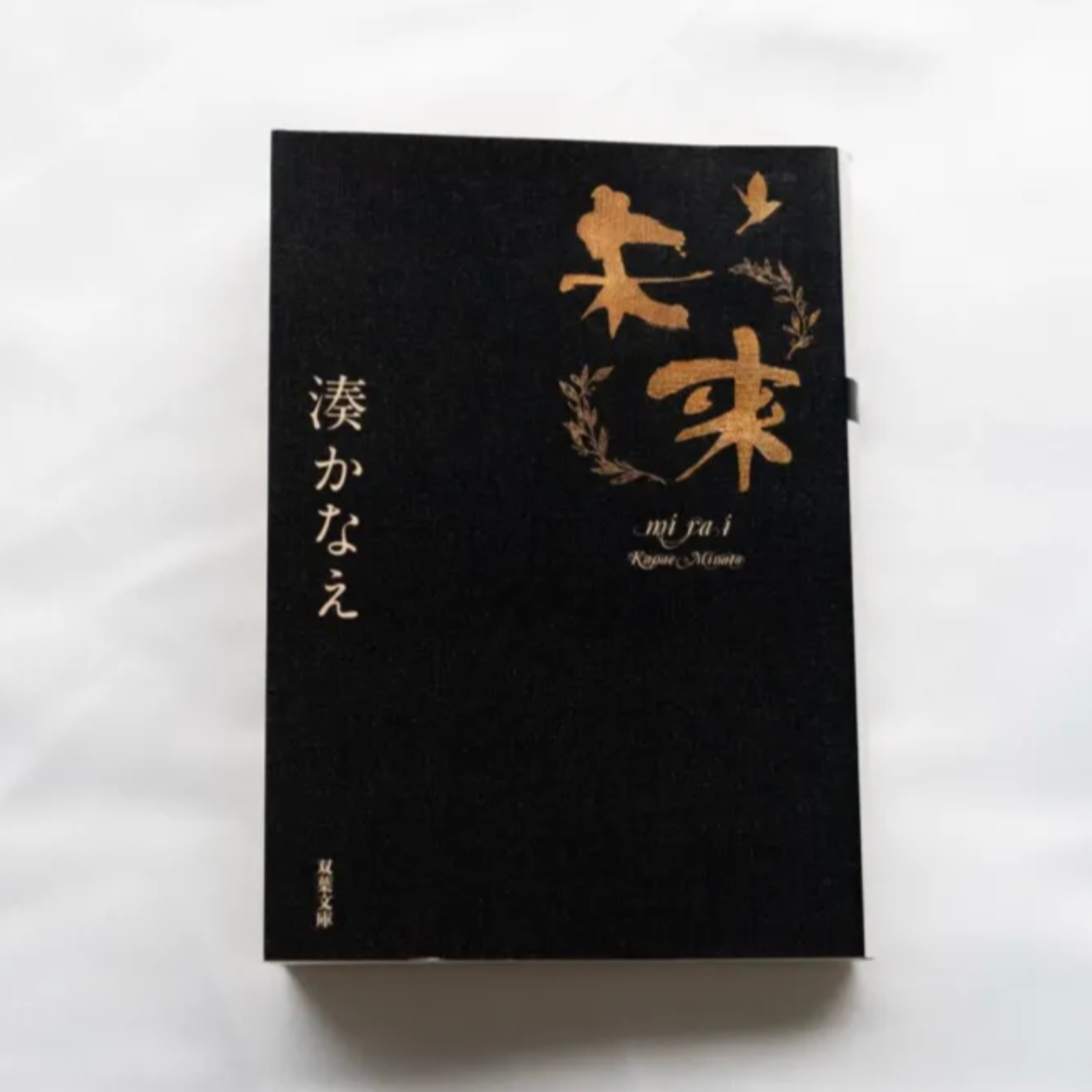 湊かなえ『未来』（双葉文庫） episode artwork