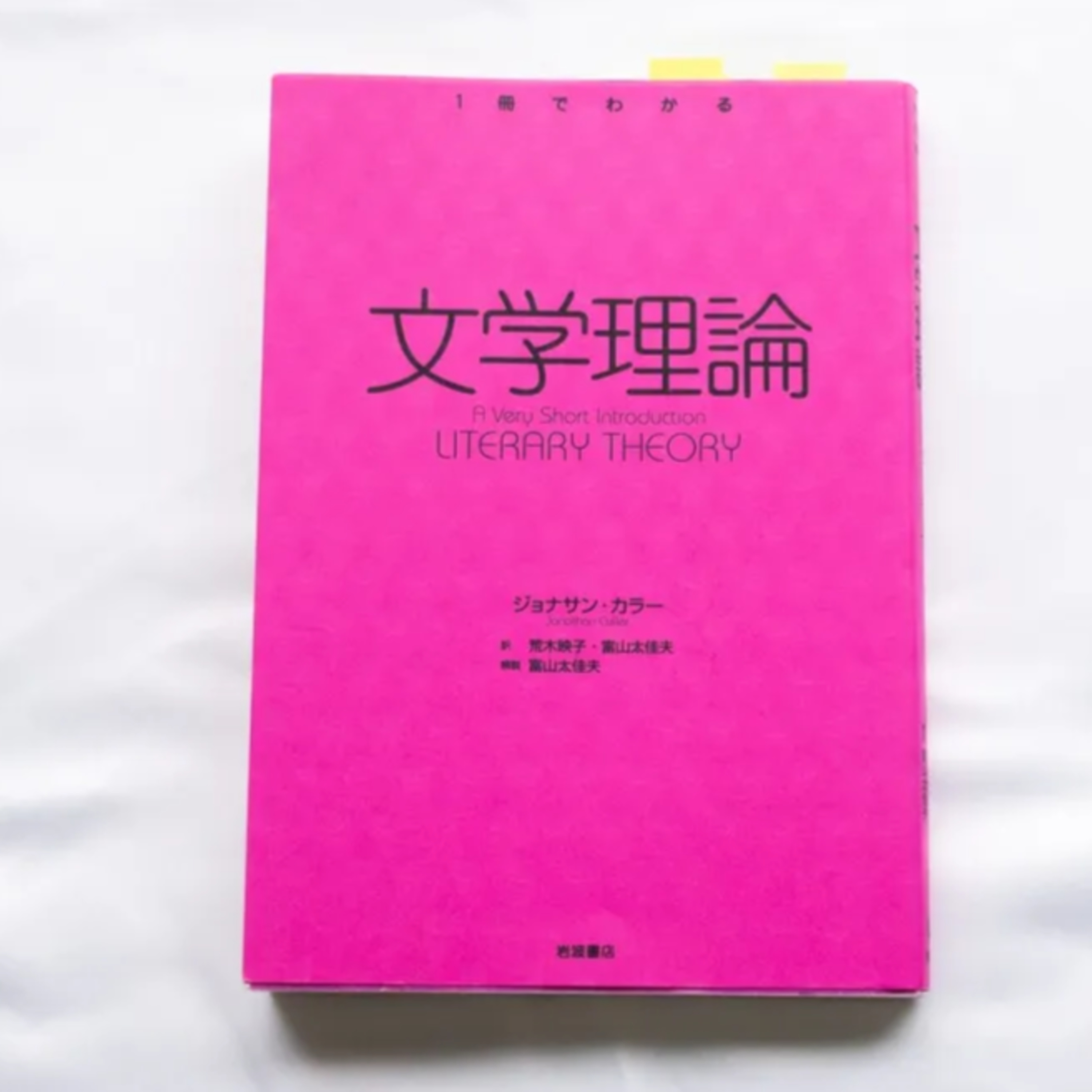 ジョナサン・カラー『文学理論』（岩波書店） episode artwork