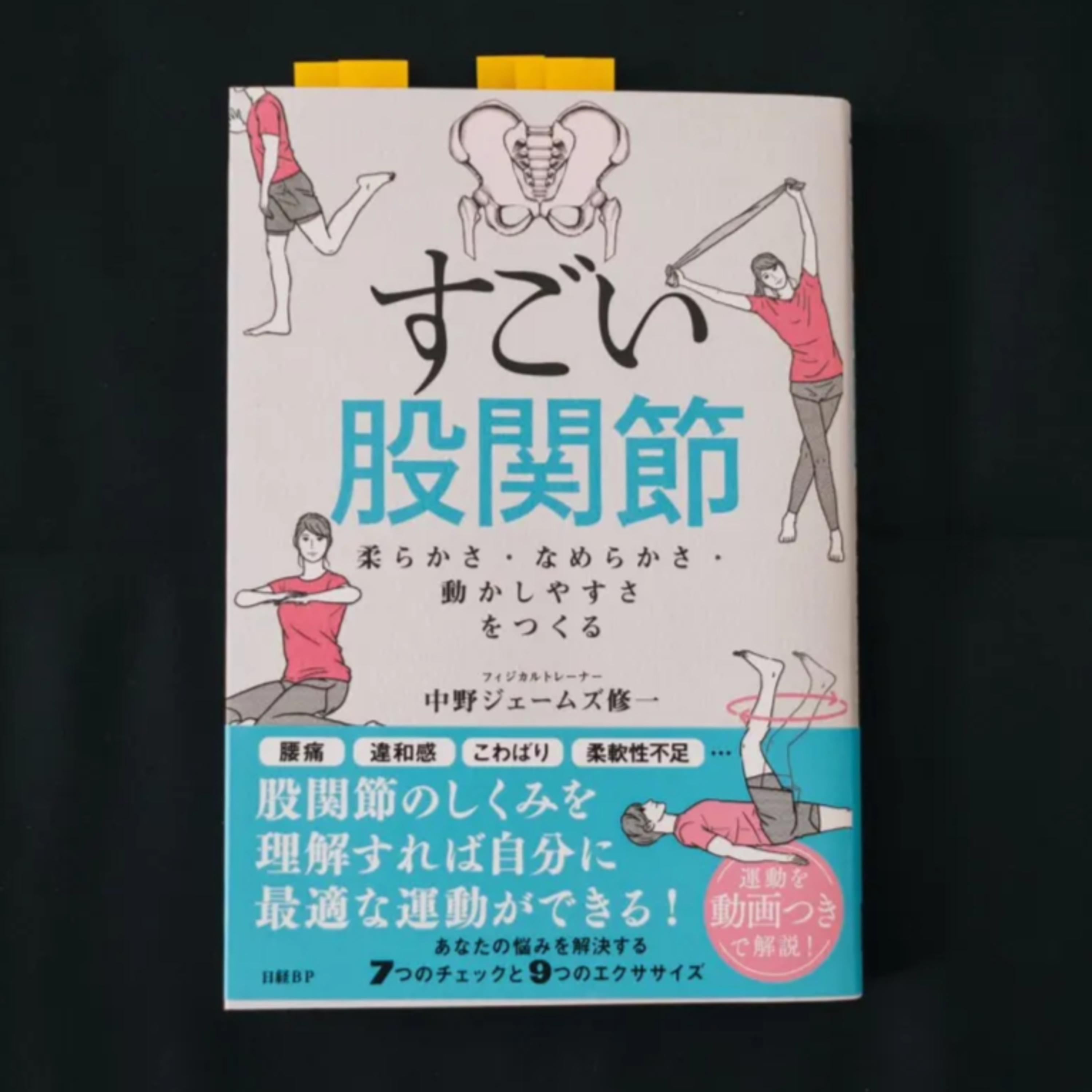 股関節の柔軟性が人生を変える？『すごい股関節』で学ぶ動かしやすい体づくり episode artwork