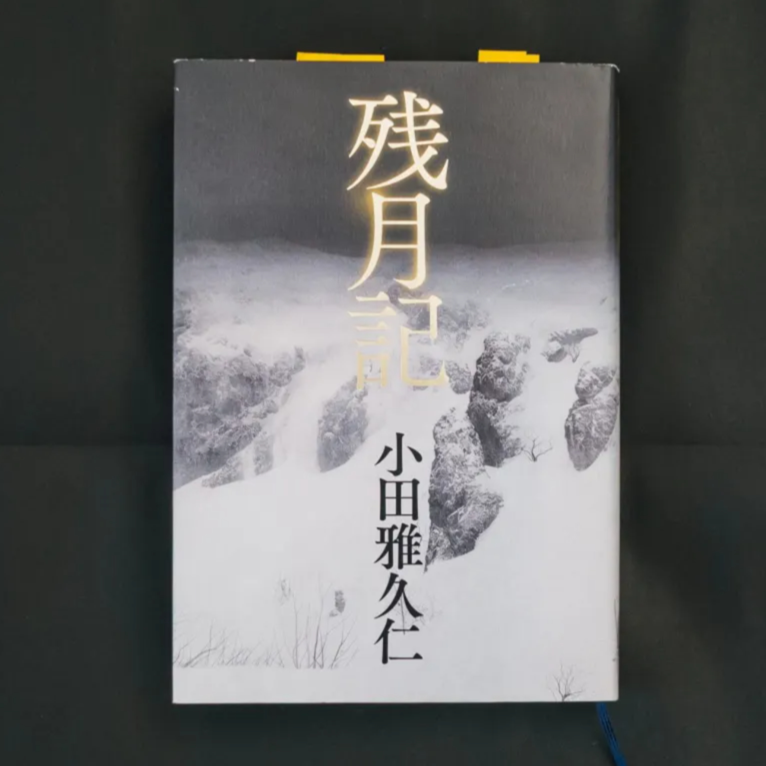 『残月記』で読み解く近未来ディストピア episode artwork