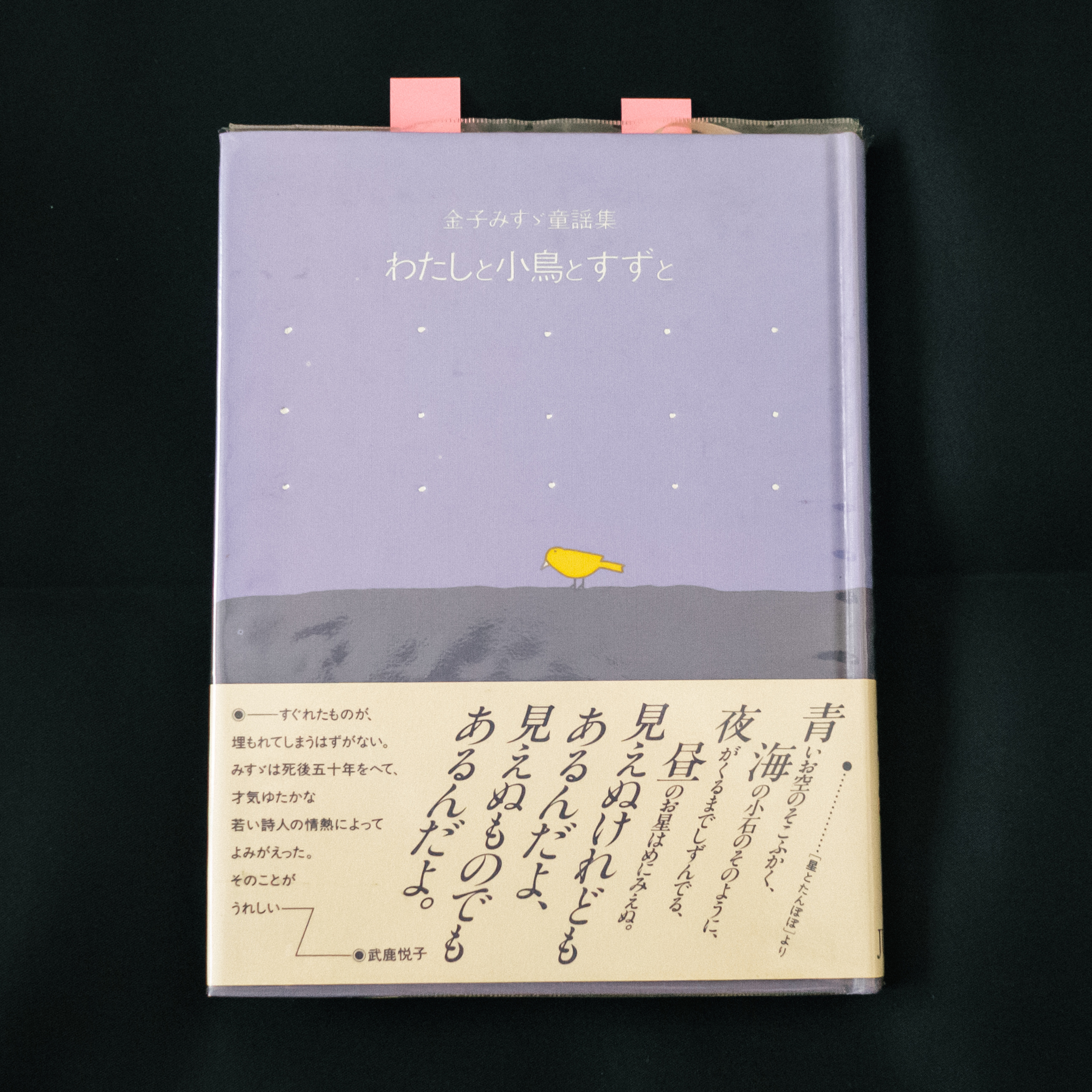 『わたしと小鳥とすずと』を読んで感じた他者視点 episode artwork