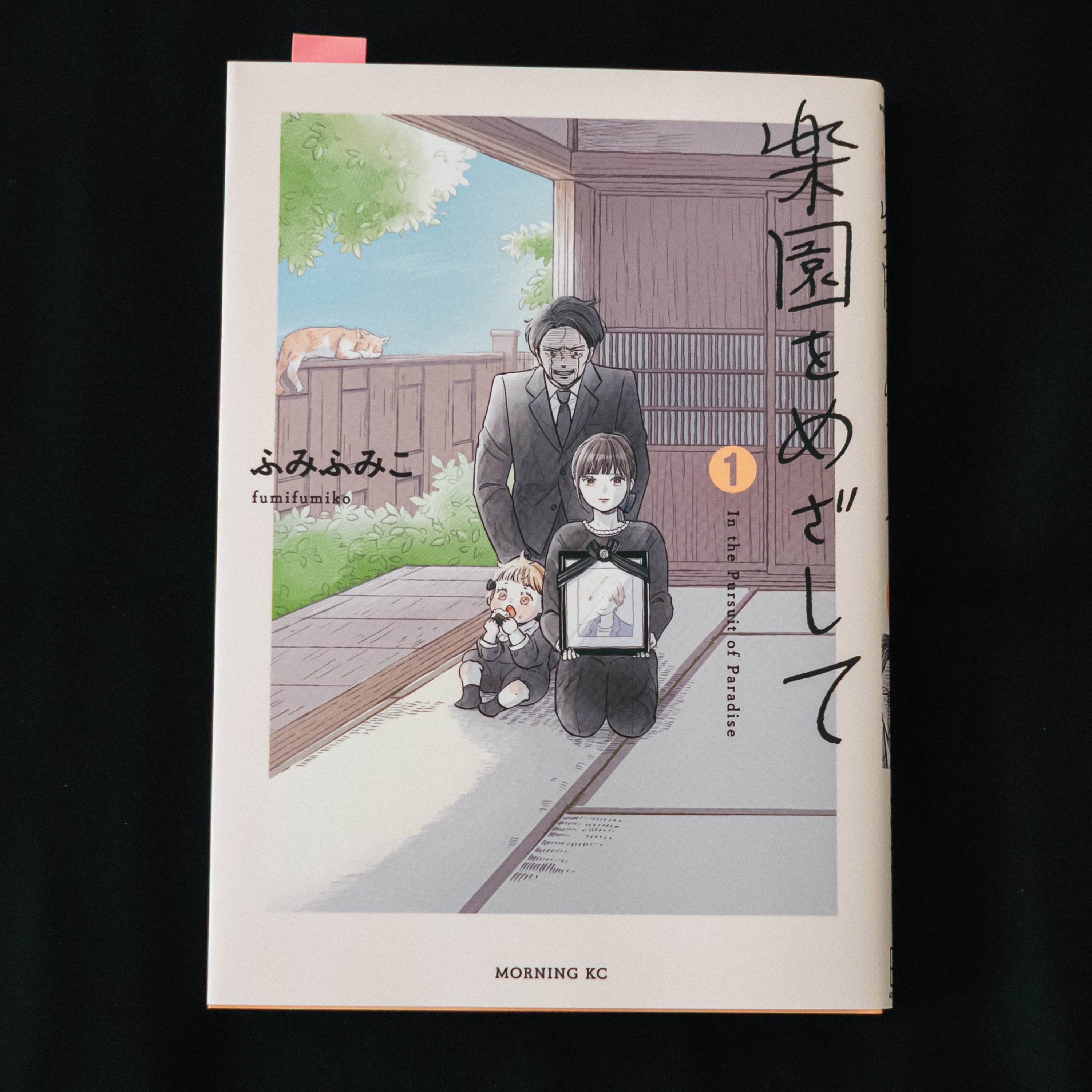 『楽園をめざして』を読んで、双極症との付き合い方を考える。 episode artwork
