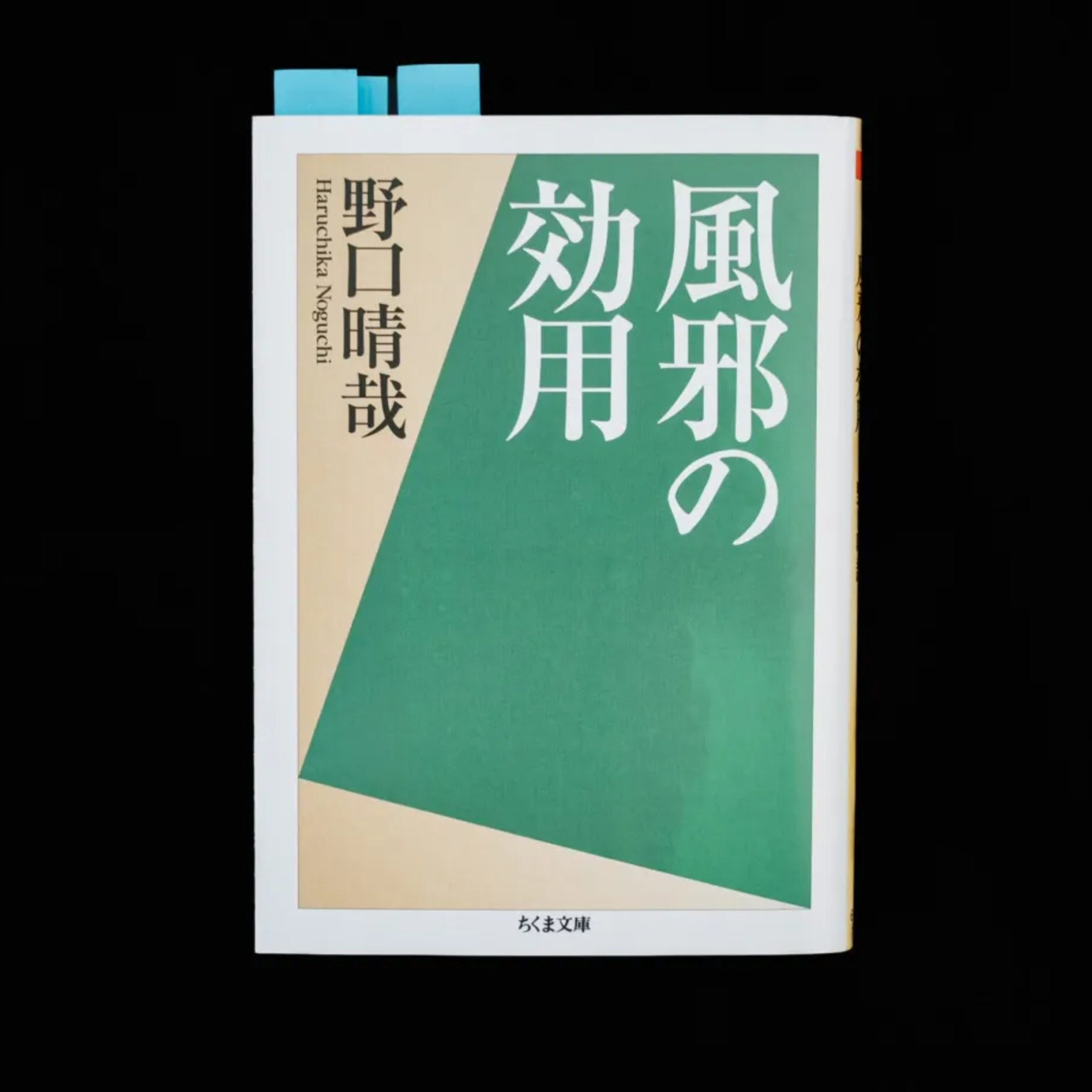 『風邪の効用』を読んで。風邪は治さず、通過させる。 episode artwork