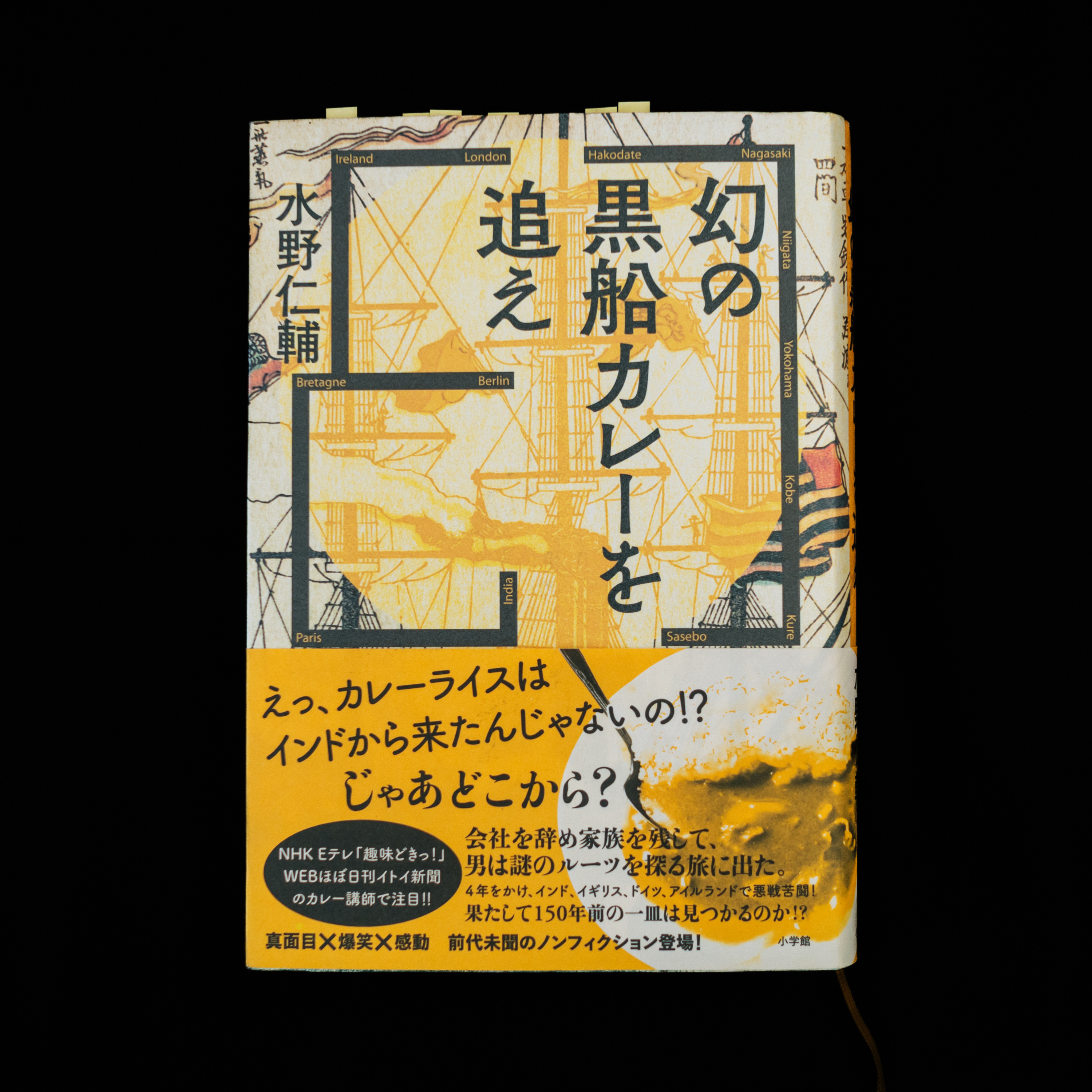 水野仁輔『幻の黒船カレーを追え』を読んで学んだ、「手段と目的」を混同しないことの大切さ。 episode artwork