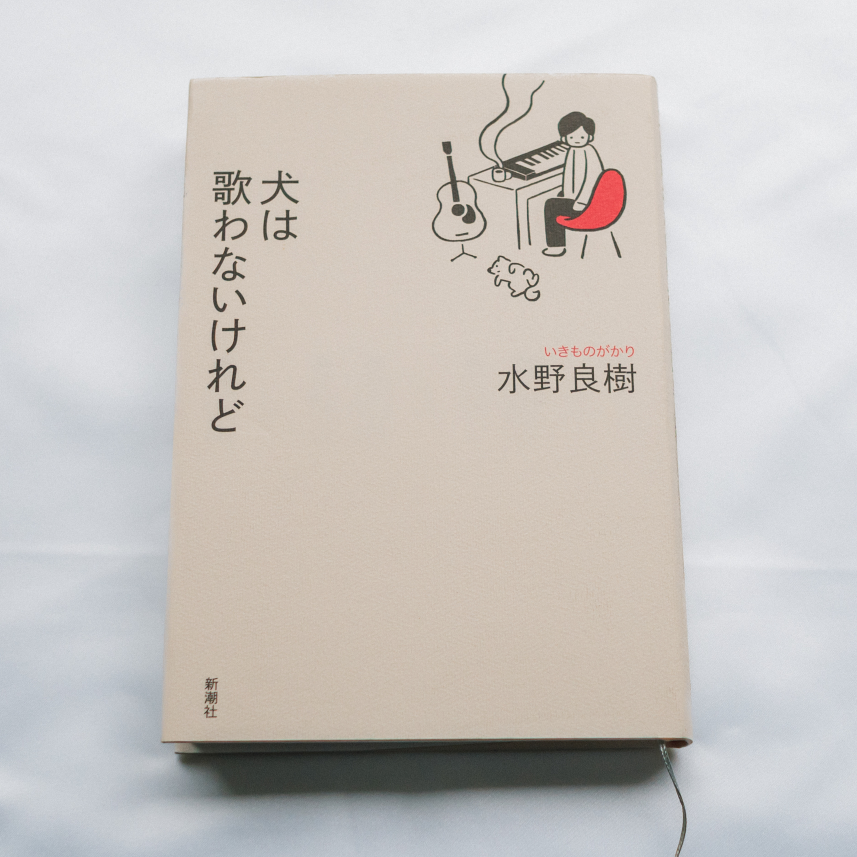 歌は人生を超えない episode artwork