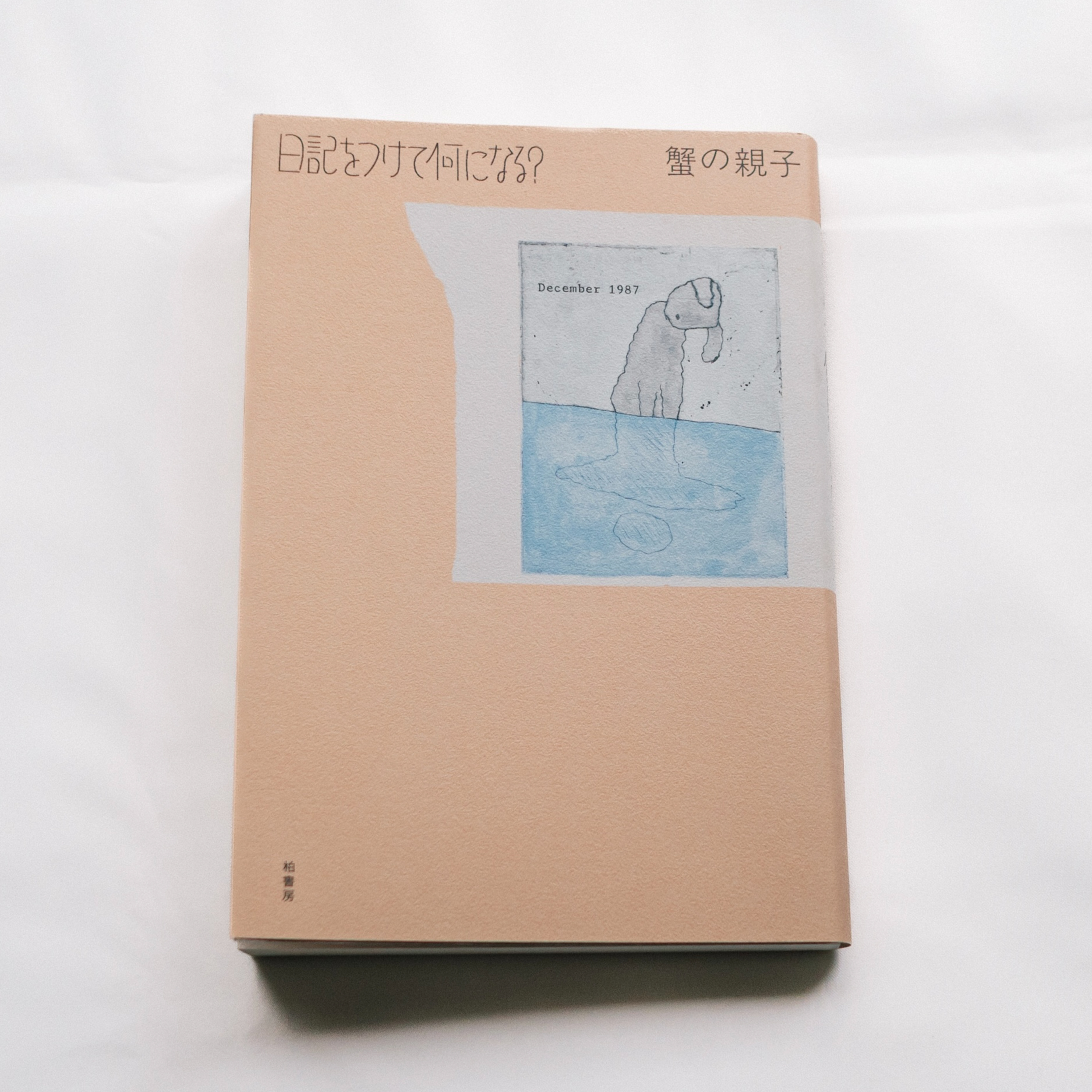他人の日記を読むことで接点を増やす episode artwork