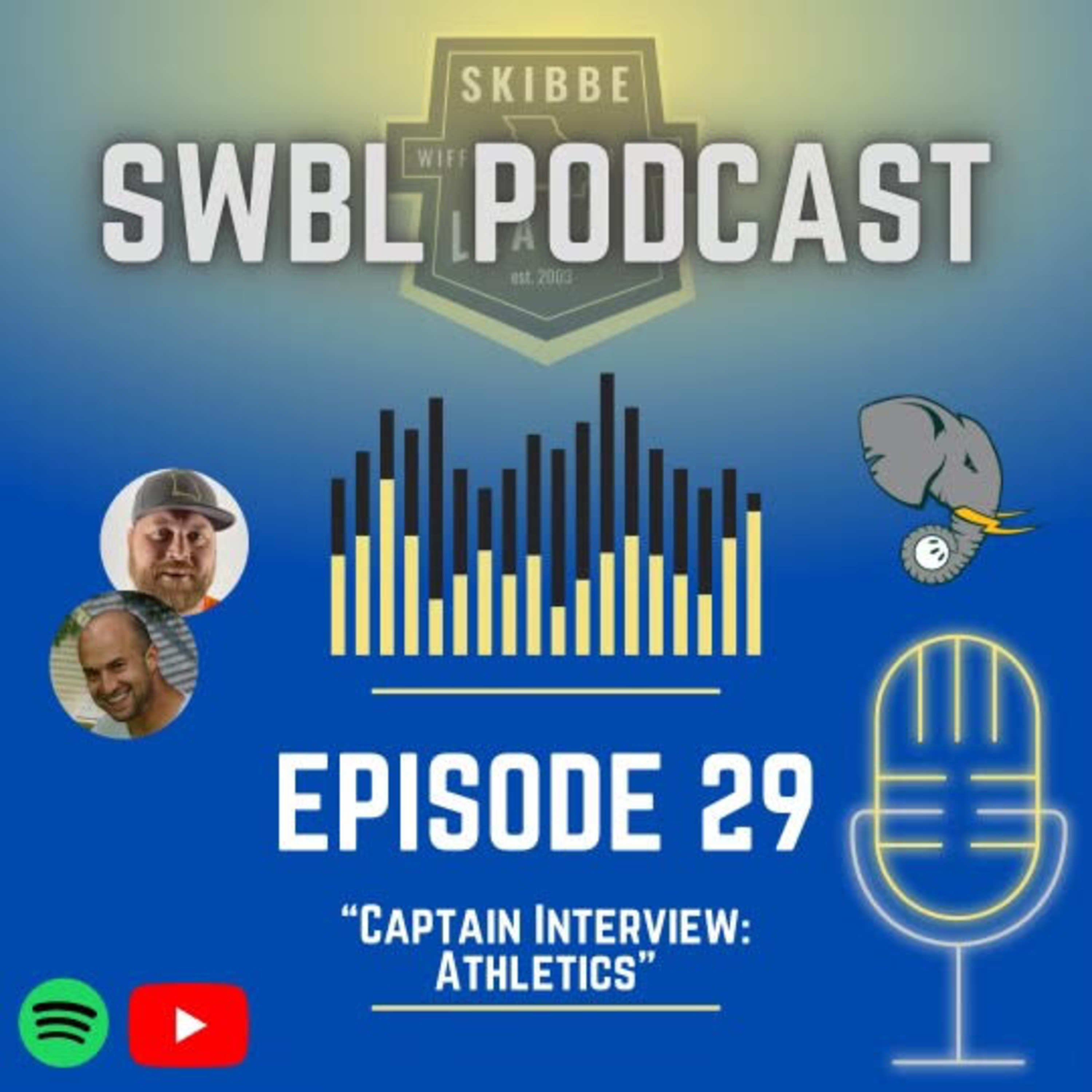 Skibbe Wiffleball League