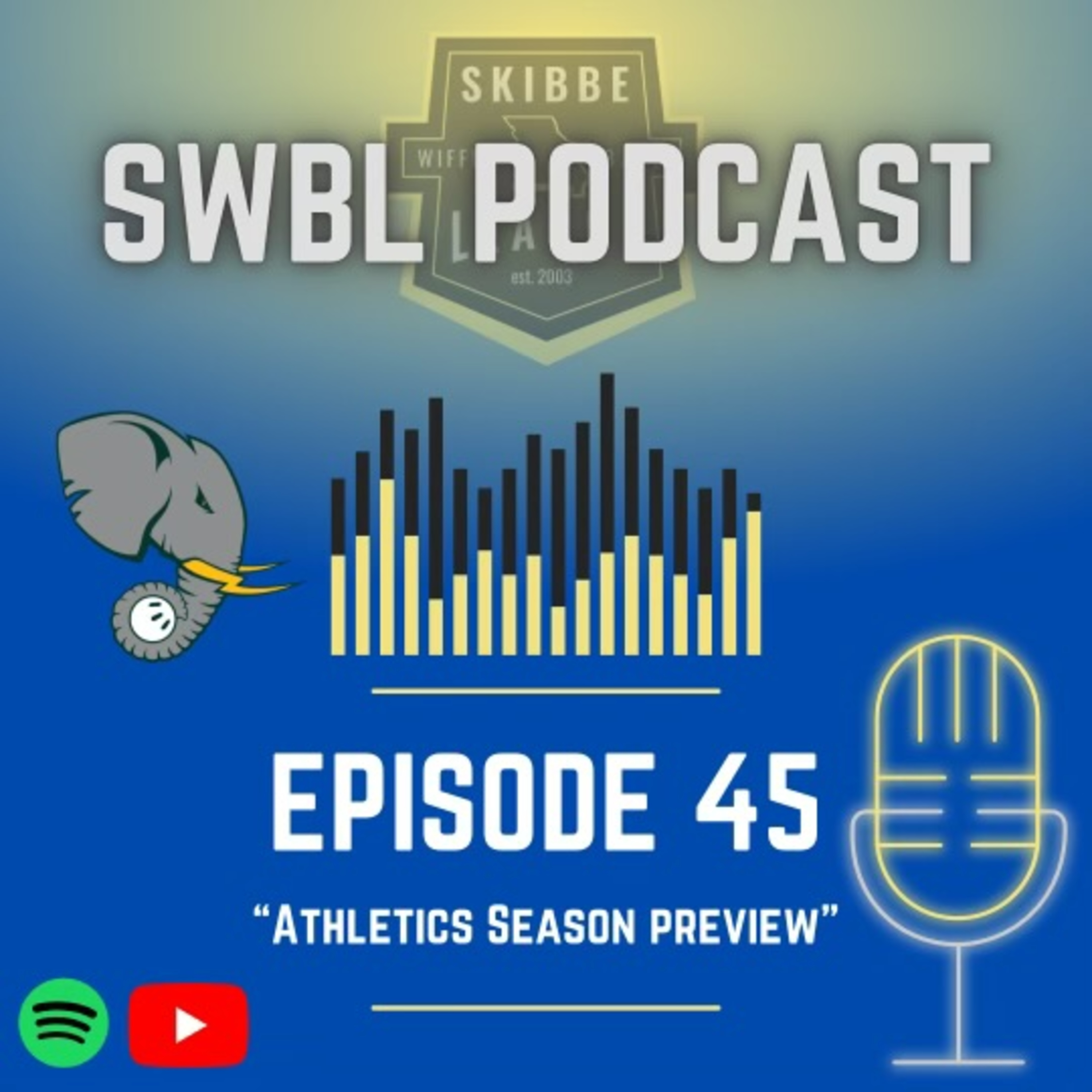 Skibbe Wiffleball League